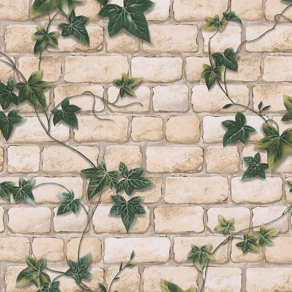 Ivy Backgrounds