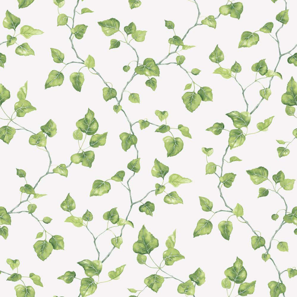 Ivy Pattern Seamless Background Background
