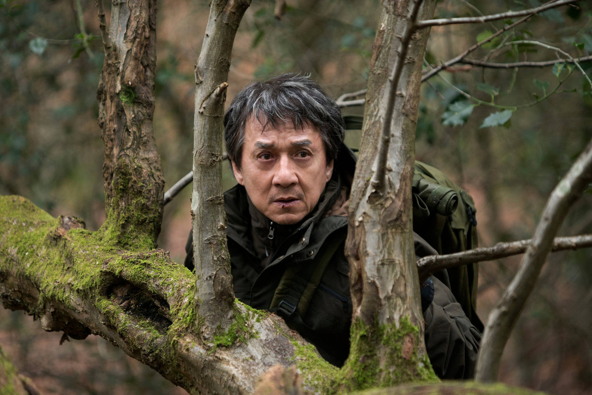 Jackie Chan In The Woods Background