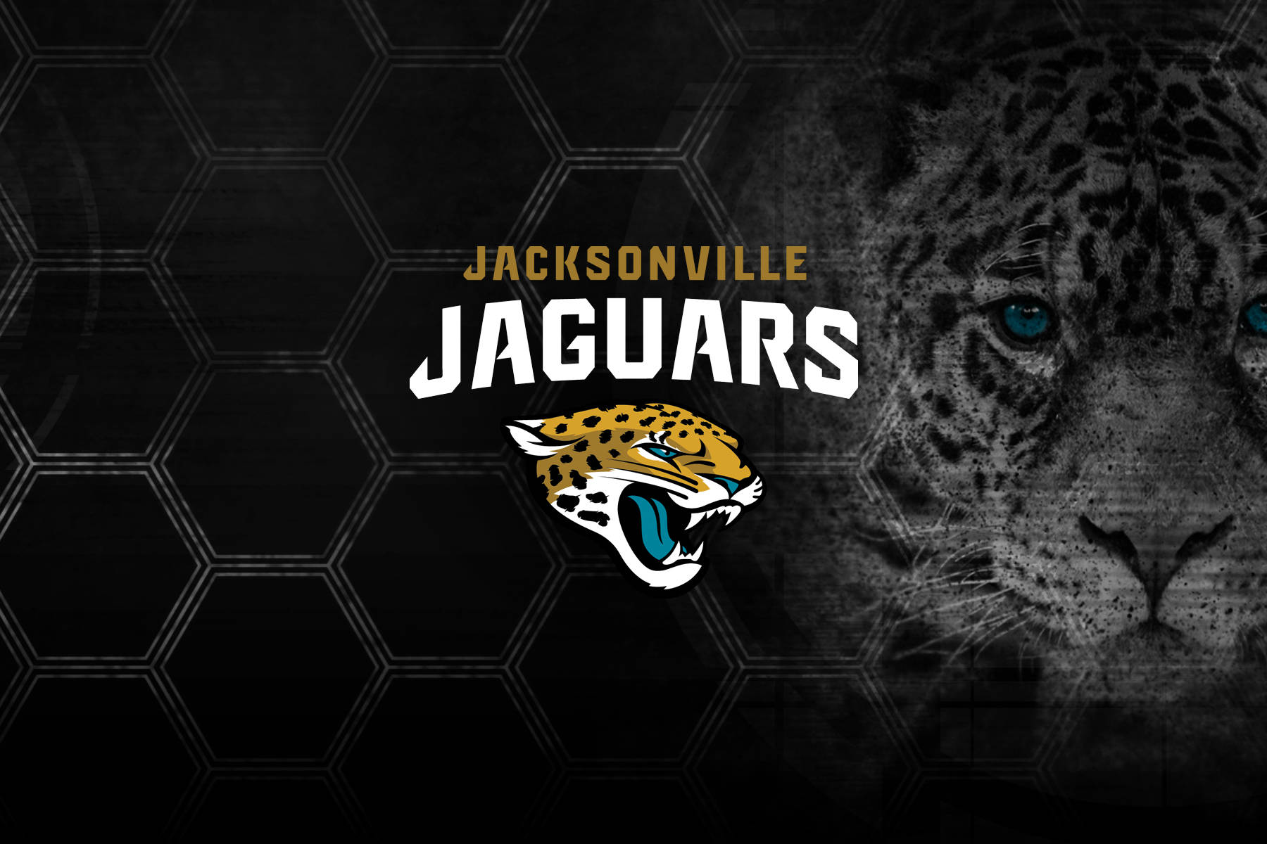 Jacksonville Jaguars Animals Background