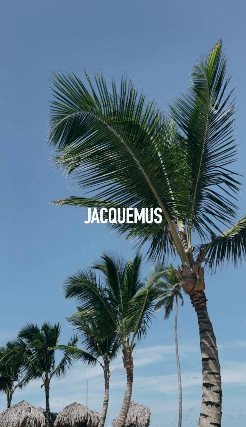 Jacquemus Palm Trees Aesthetic Background