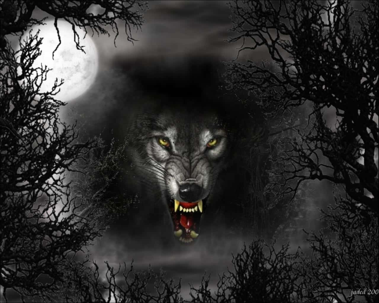 Jaded Wolf Background