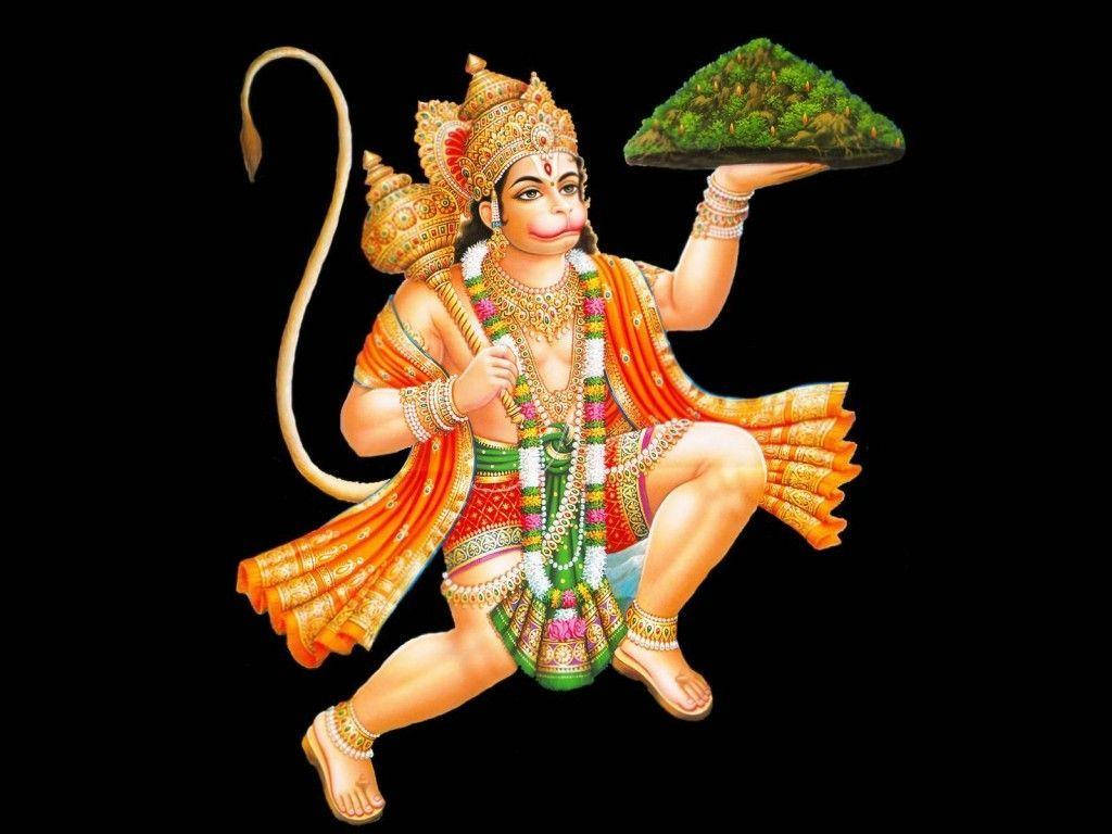 Jai Hanuman Herb Sanjeevani