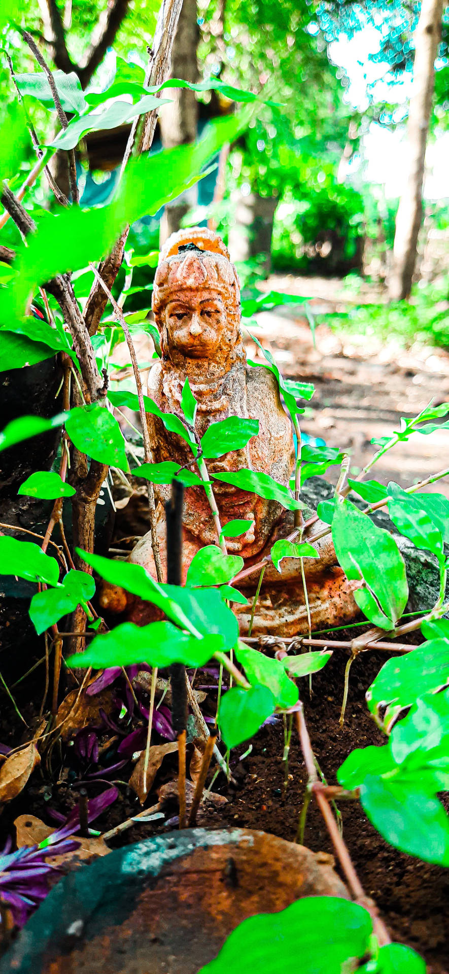 Jai Shree Ram Hd Forest Statue Background