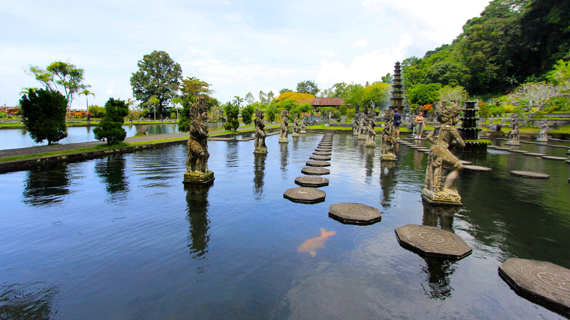 Jakarta Koi Pond