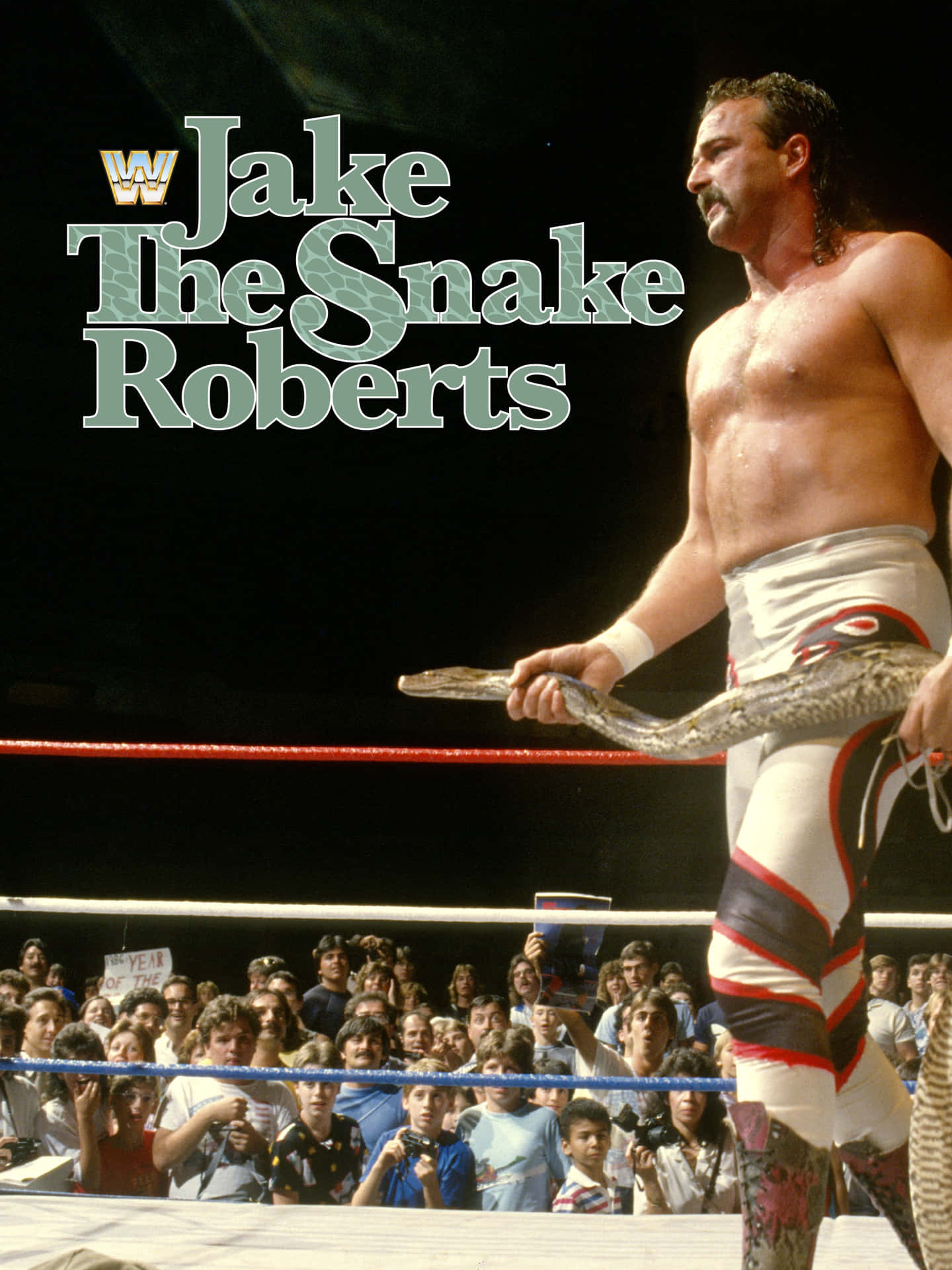Jake Roberts Holding Damian Match Compilation Background
