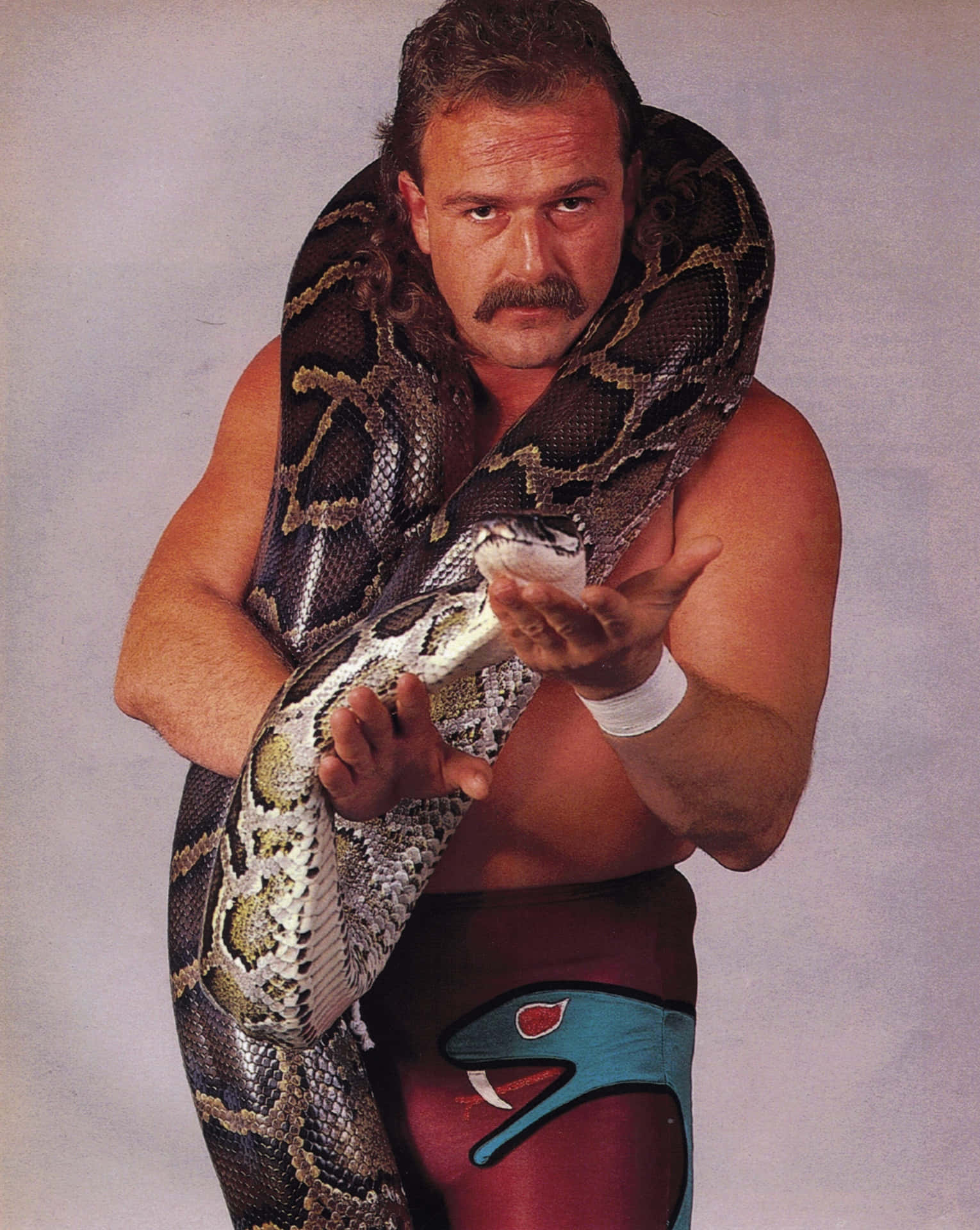 Jake Roberts Posing With A Python Background