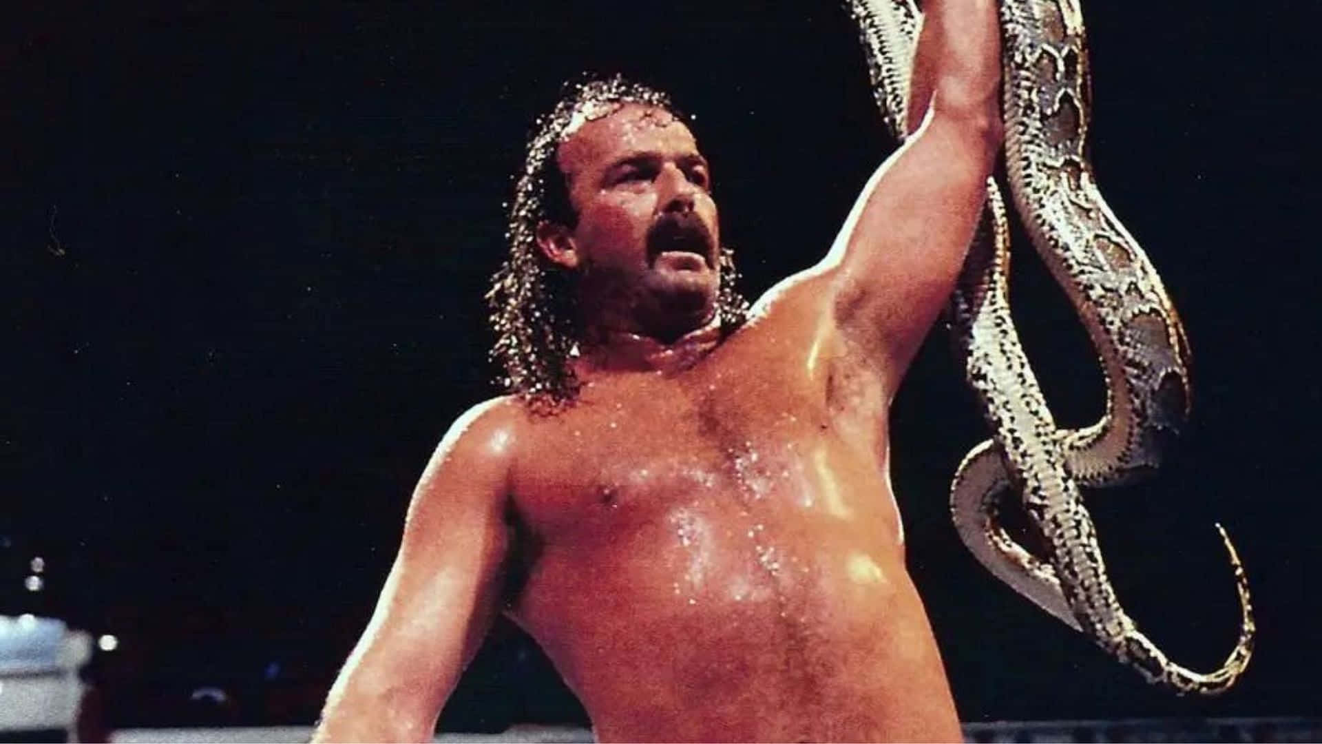 Jake Roberts - The Resurrection Of Jake The Snake Background