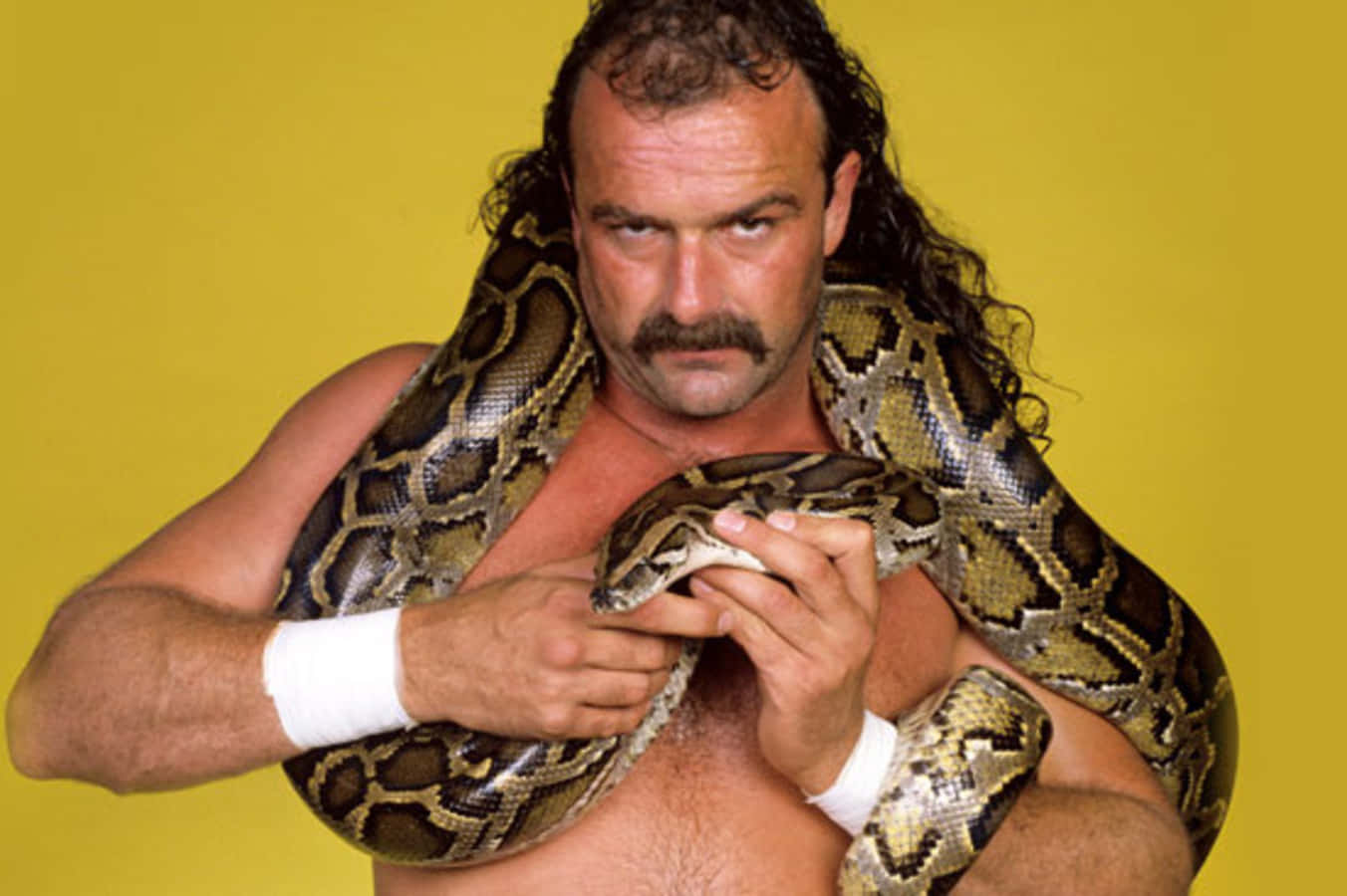 Jake Roberts With Damien During A Photoshoot Background