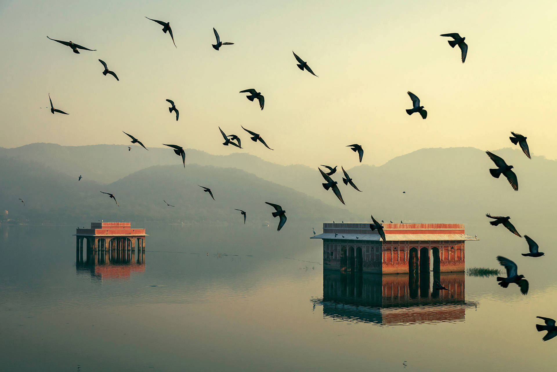 Jal Mahal Jaipur Surrounded By Birds Background