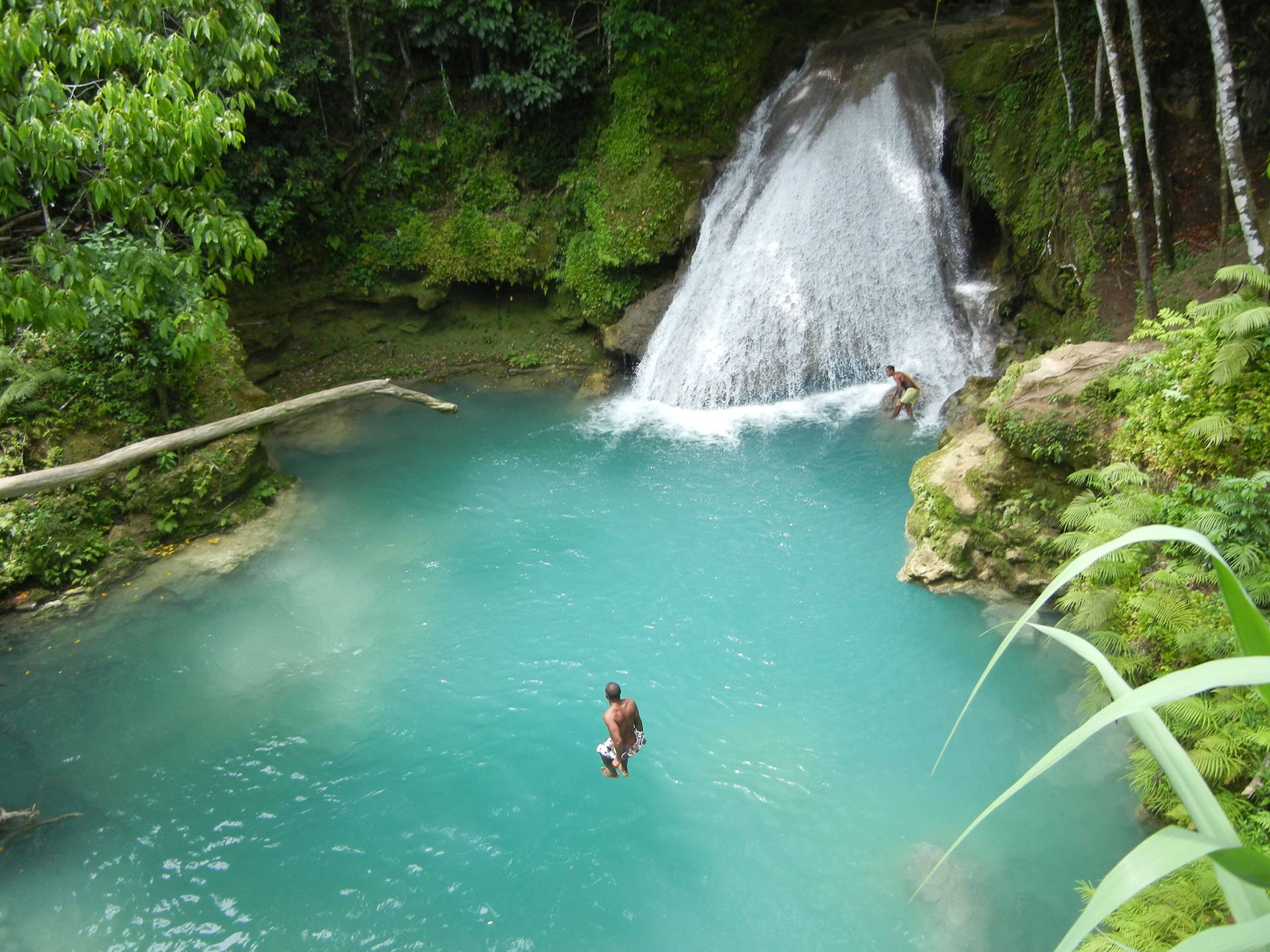 Jamaica Blue Hole Top View