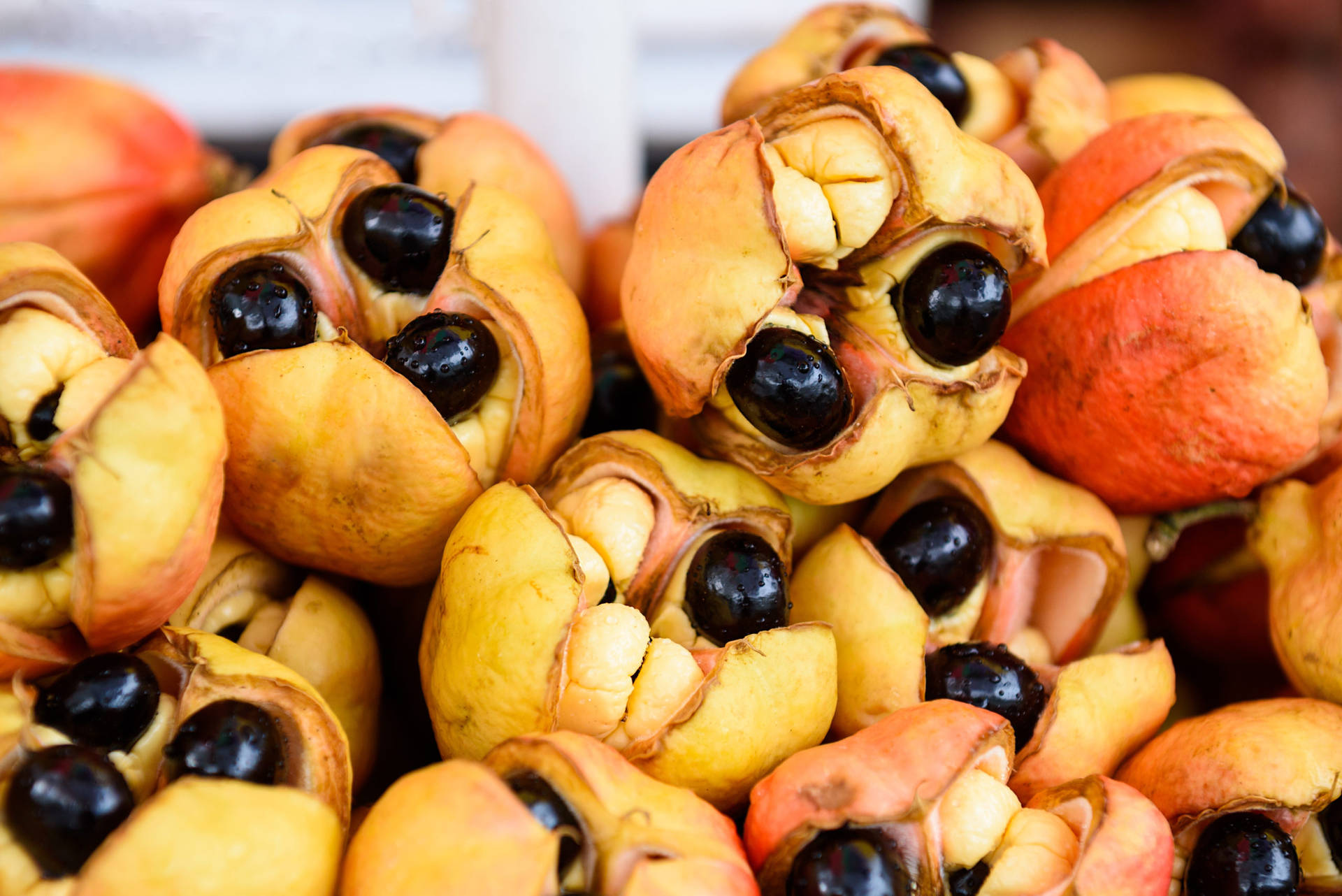 Jamaica's Vibrant National Fruit