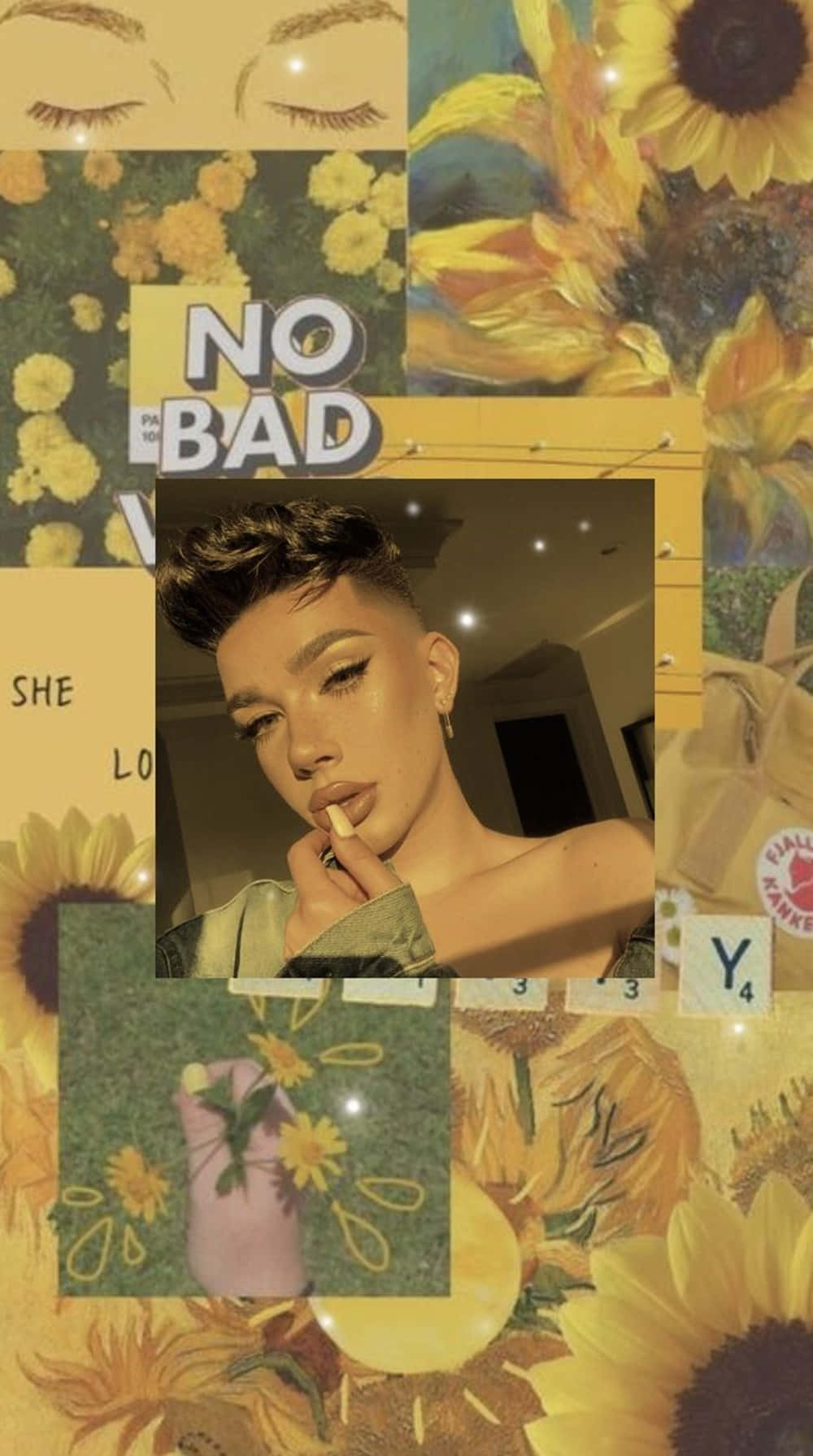 James Charles Sunflower Photos Background