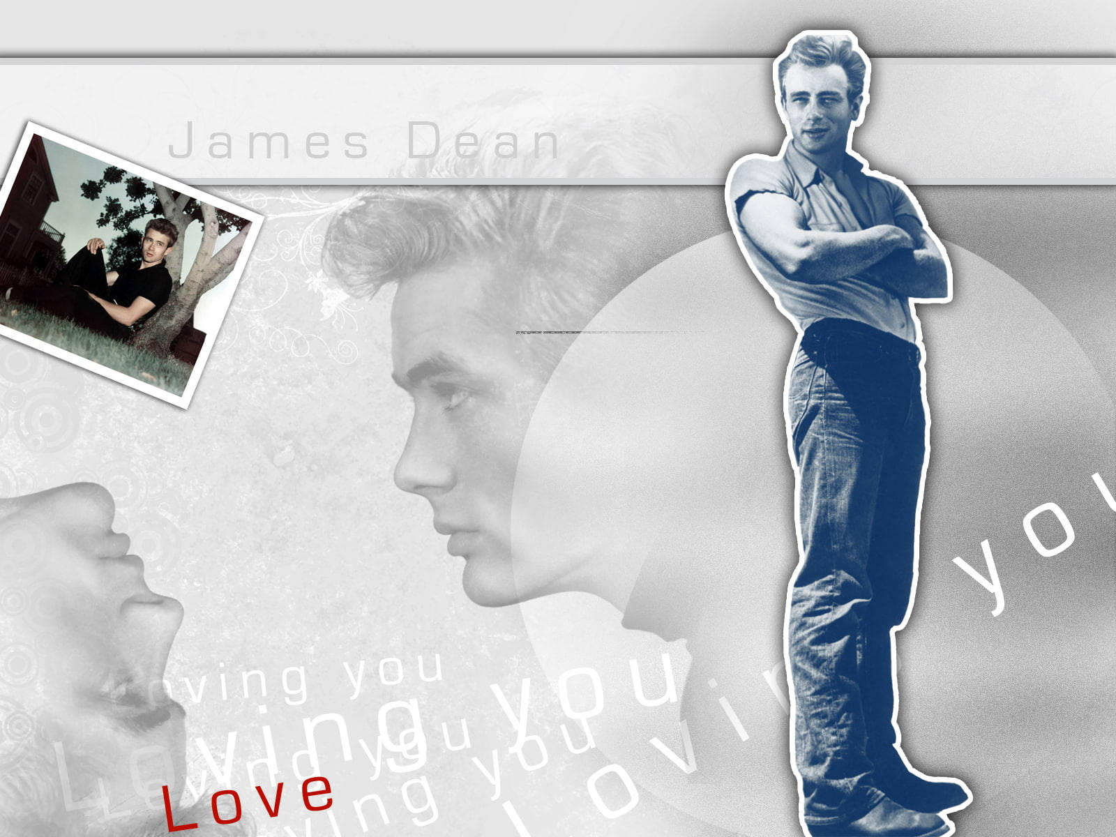 James Dean Loving You Background