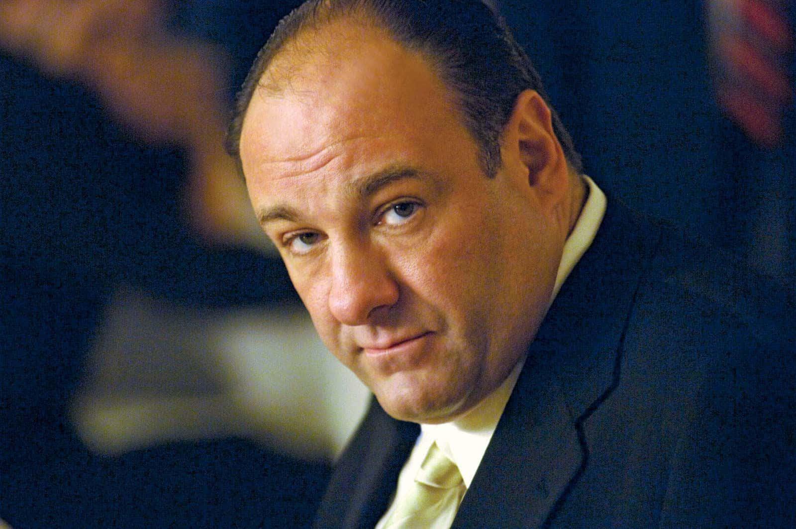 James Gandolfini 1600 X 1063 Background