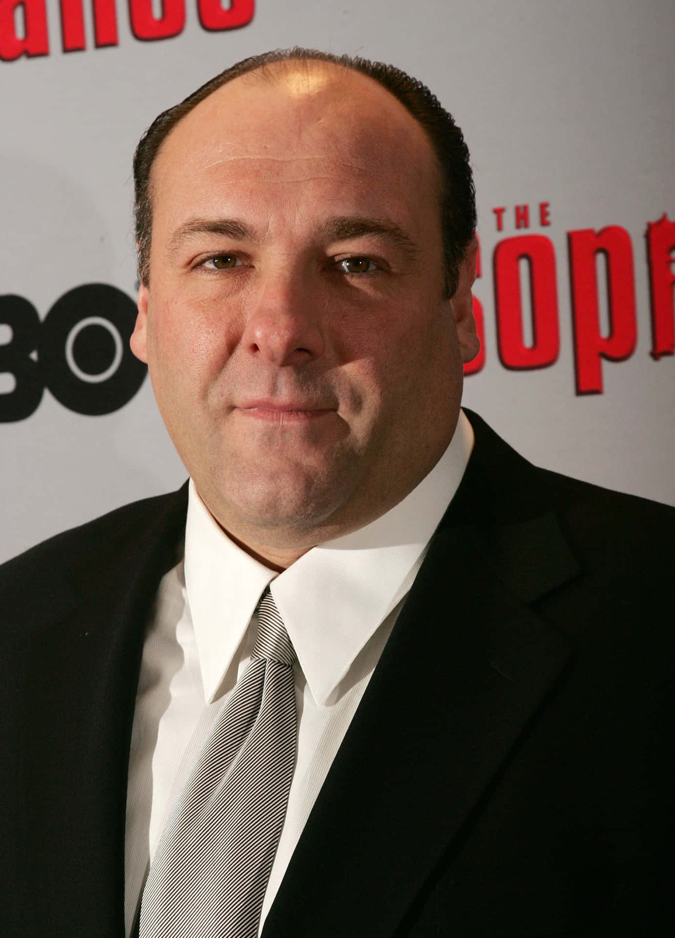 James Gandolfini 2160 X 3000 Background