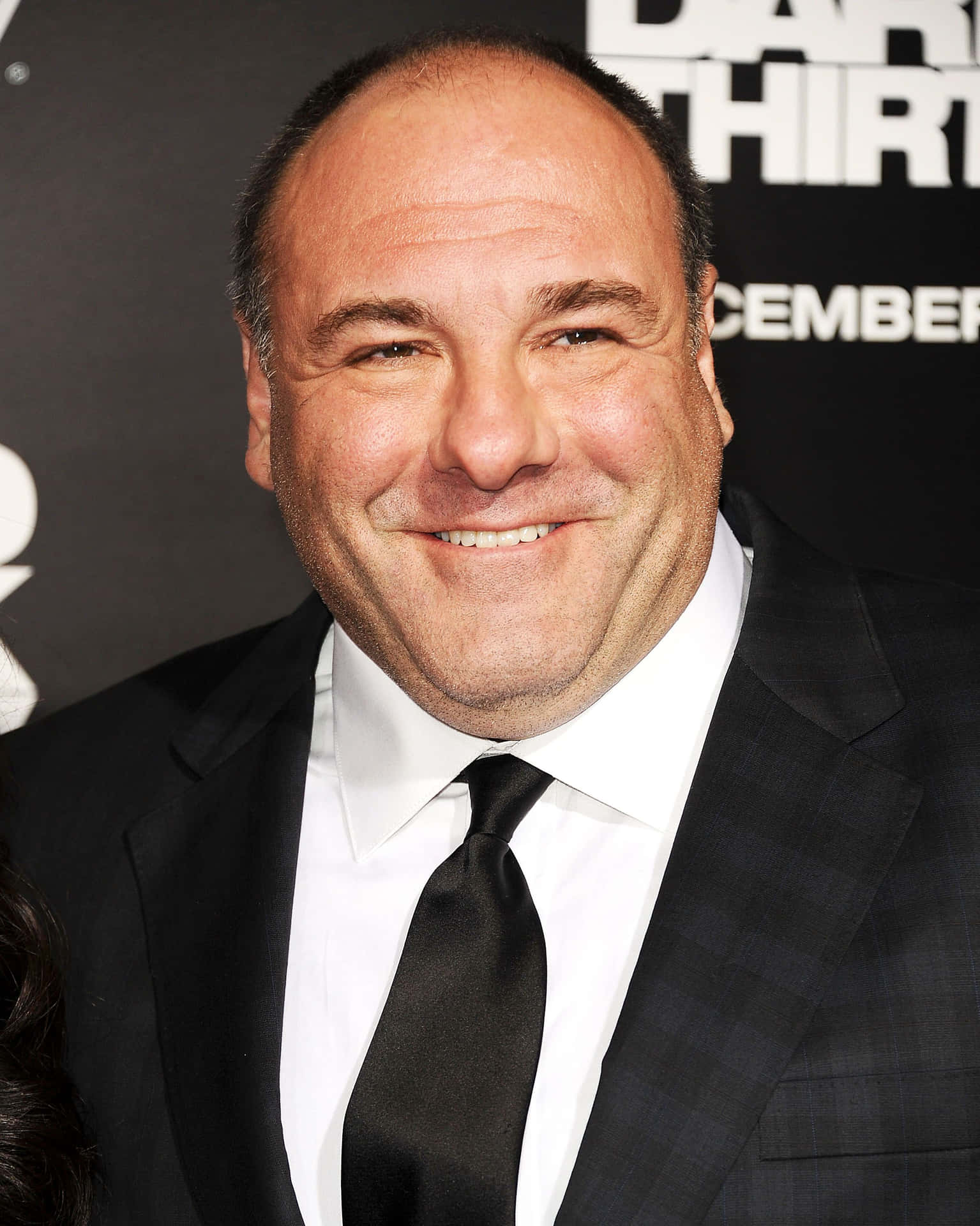 James Gandolfini 2398 X 3000 Background