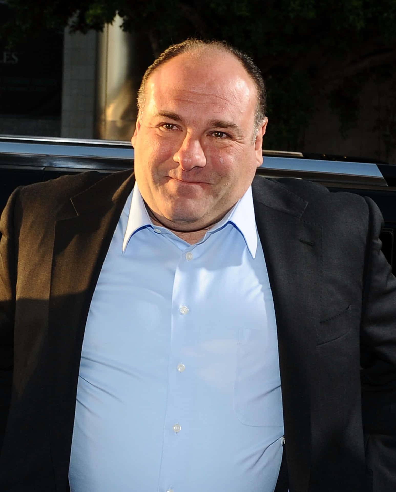 James Gandolfini 2416 X 3000 Background