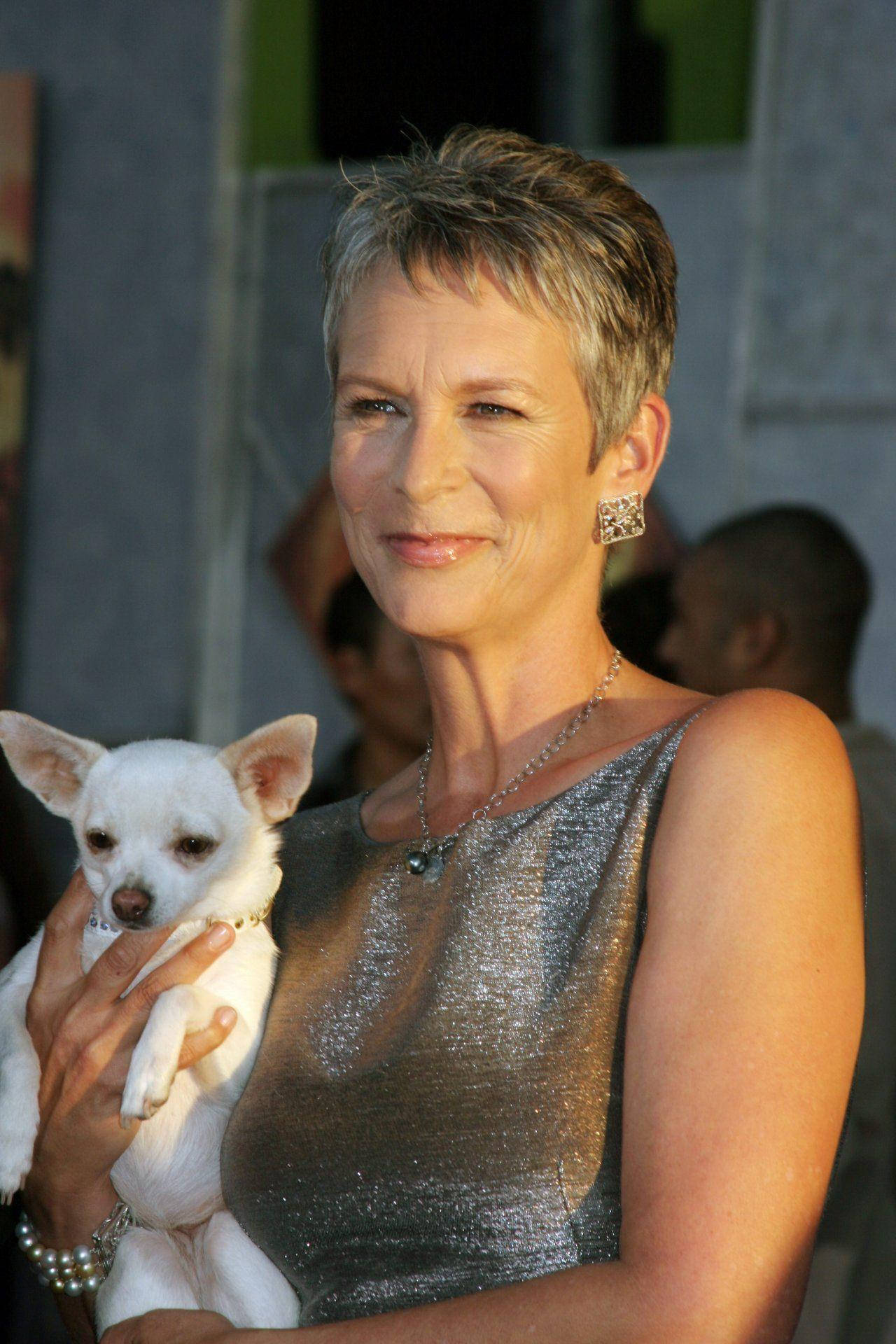 Jamie Lee Curtis With A Chihuahua Background