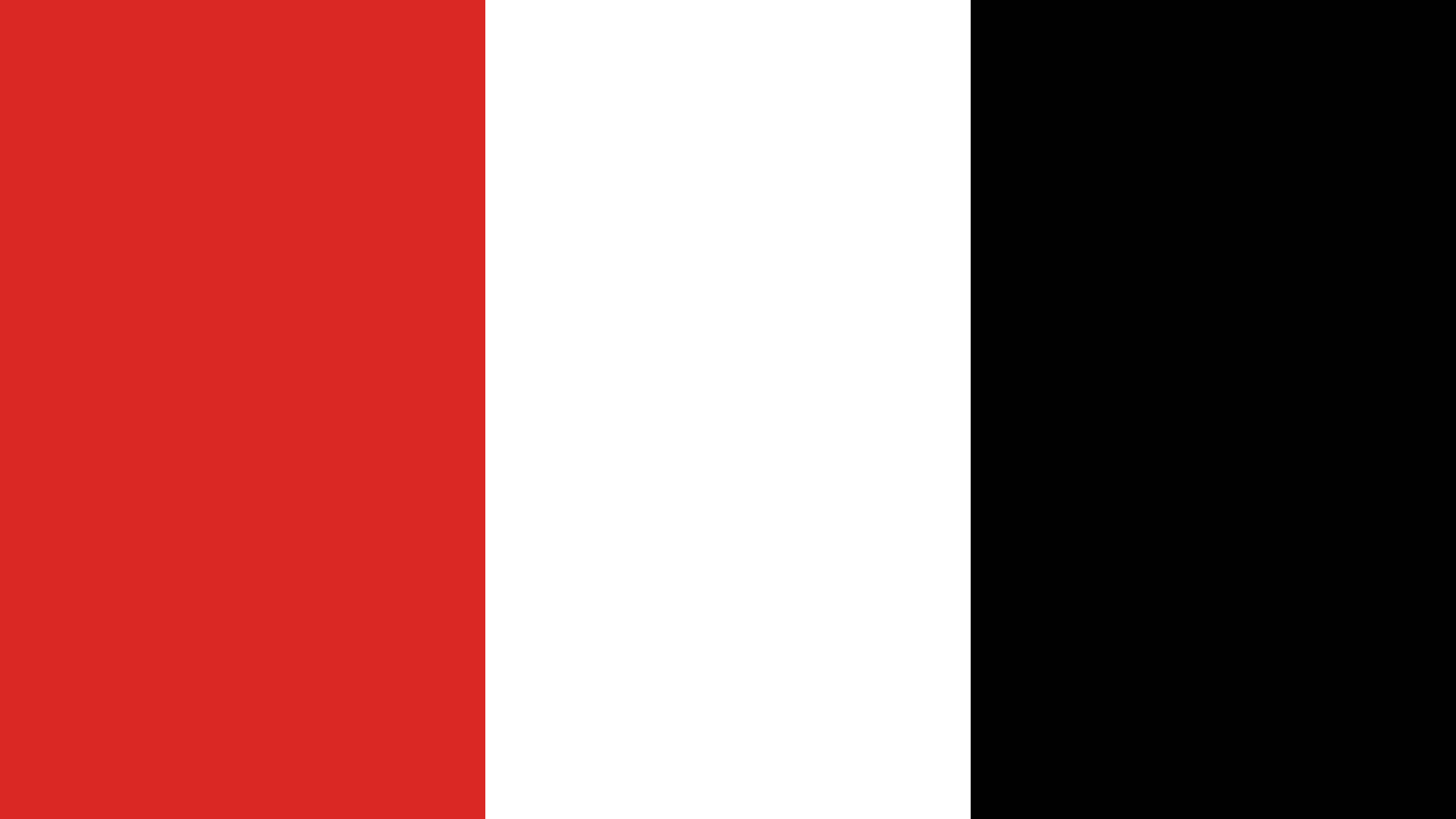 Janasena Party Colors Flag