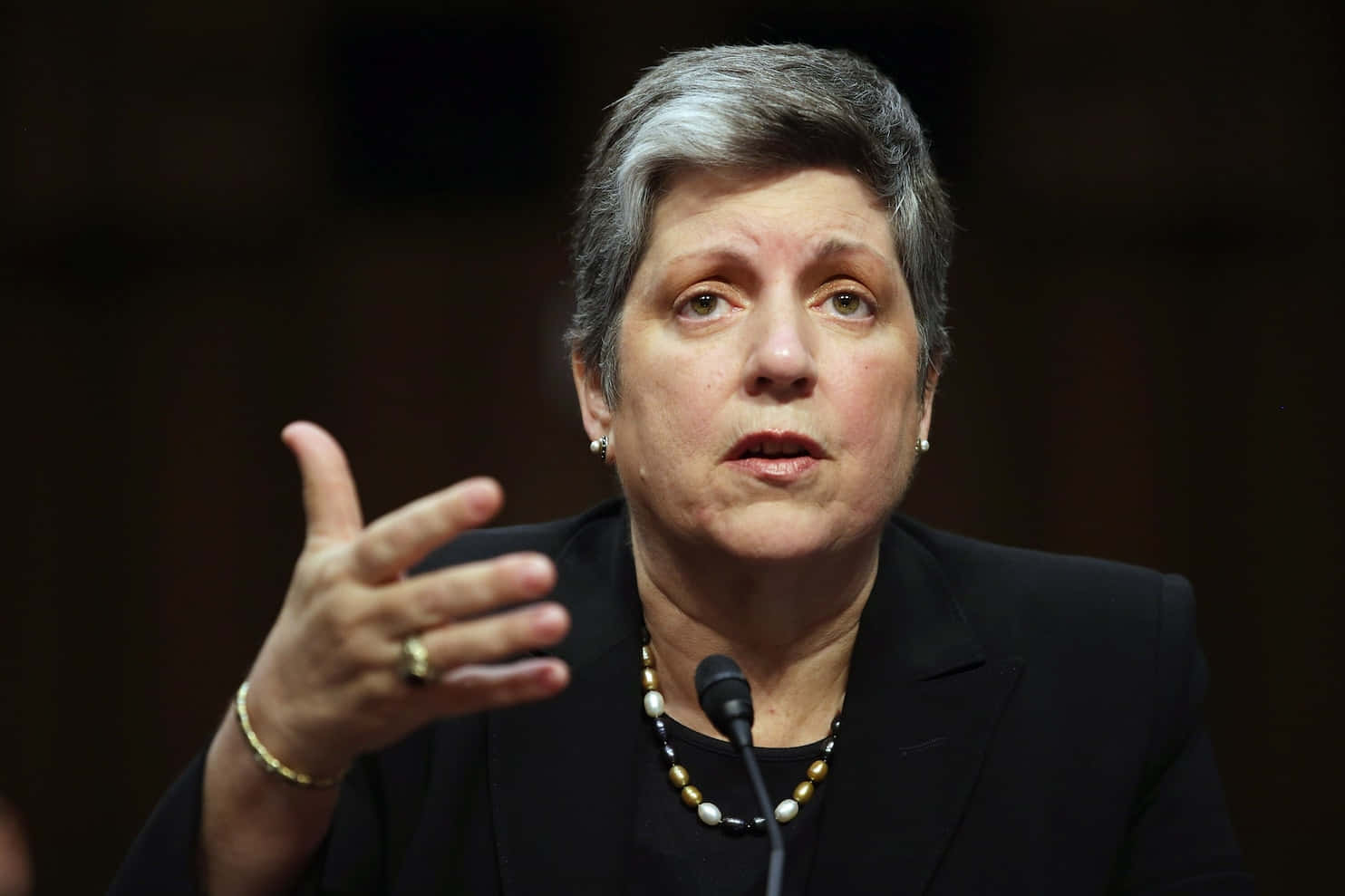 Janet Napolitano Gesturing Background