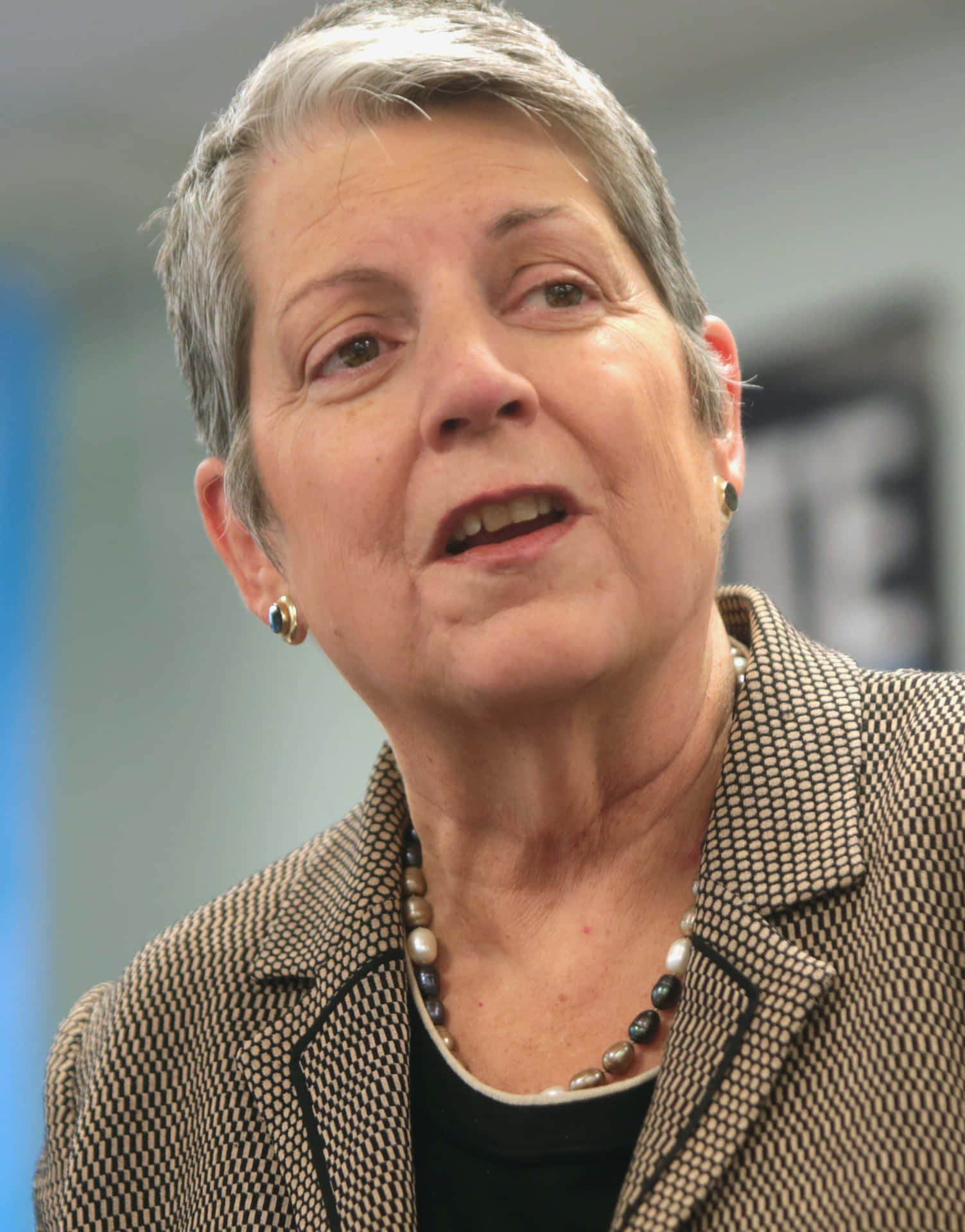 Janet Napolitano In Brown Blazer Background