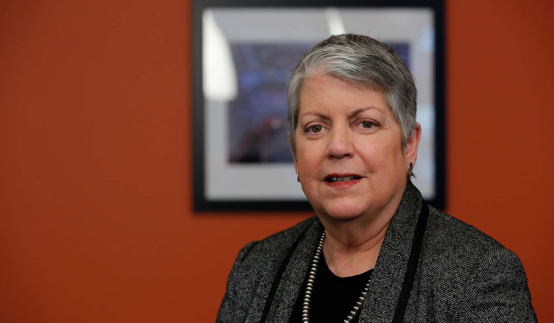 Janet Napolitano With Subtle Smile Background
