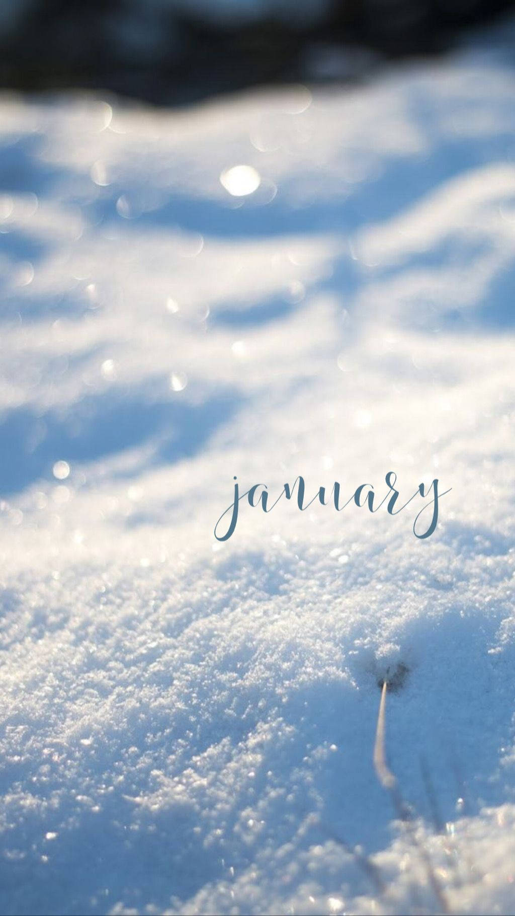 January Glimmering Snow Background