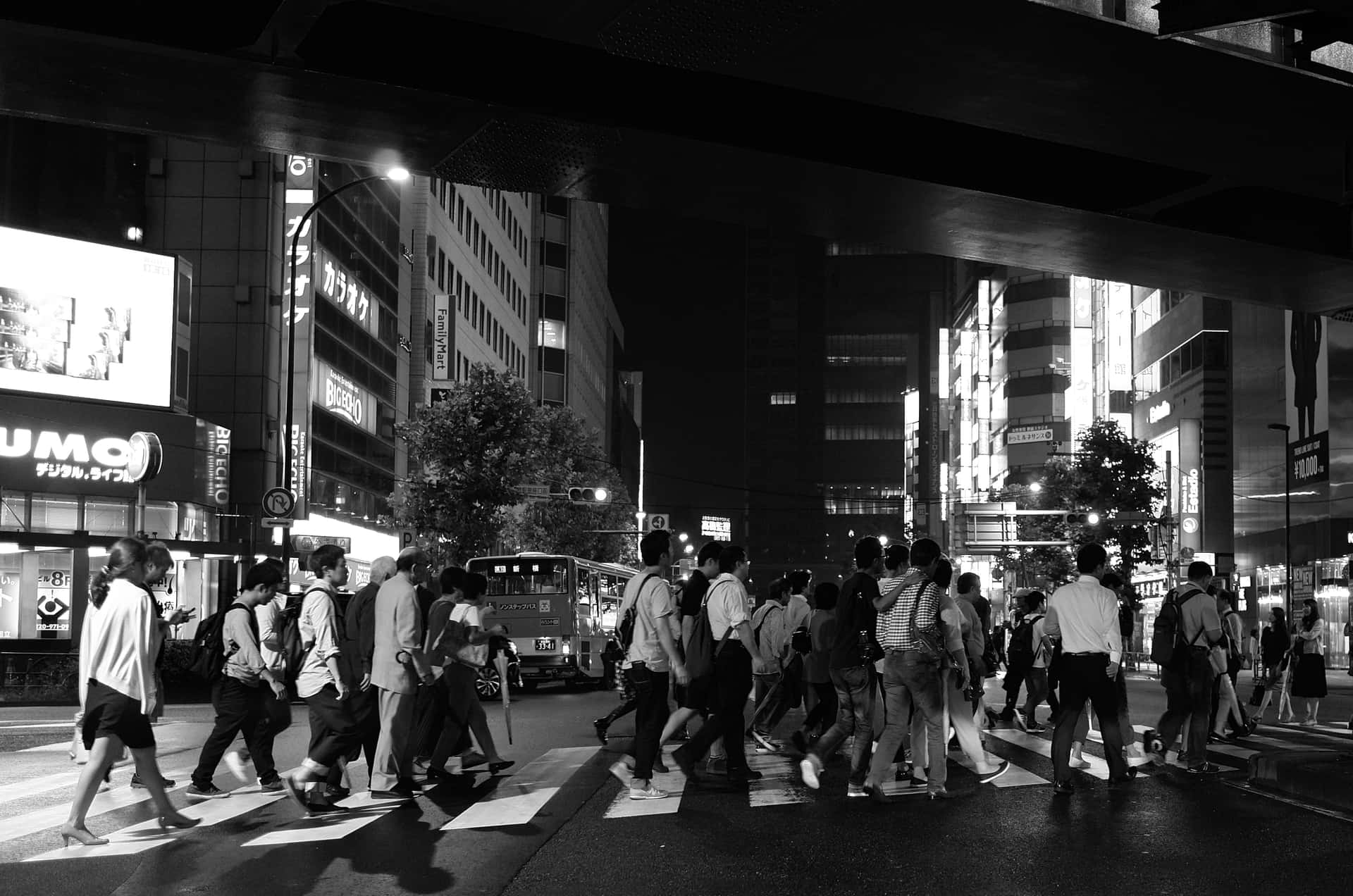 Japan Black And White Crossing Under Train Background