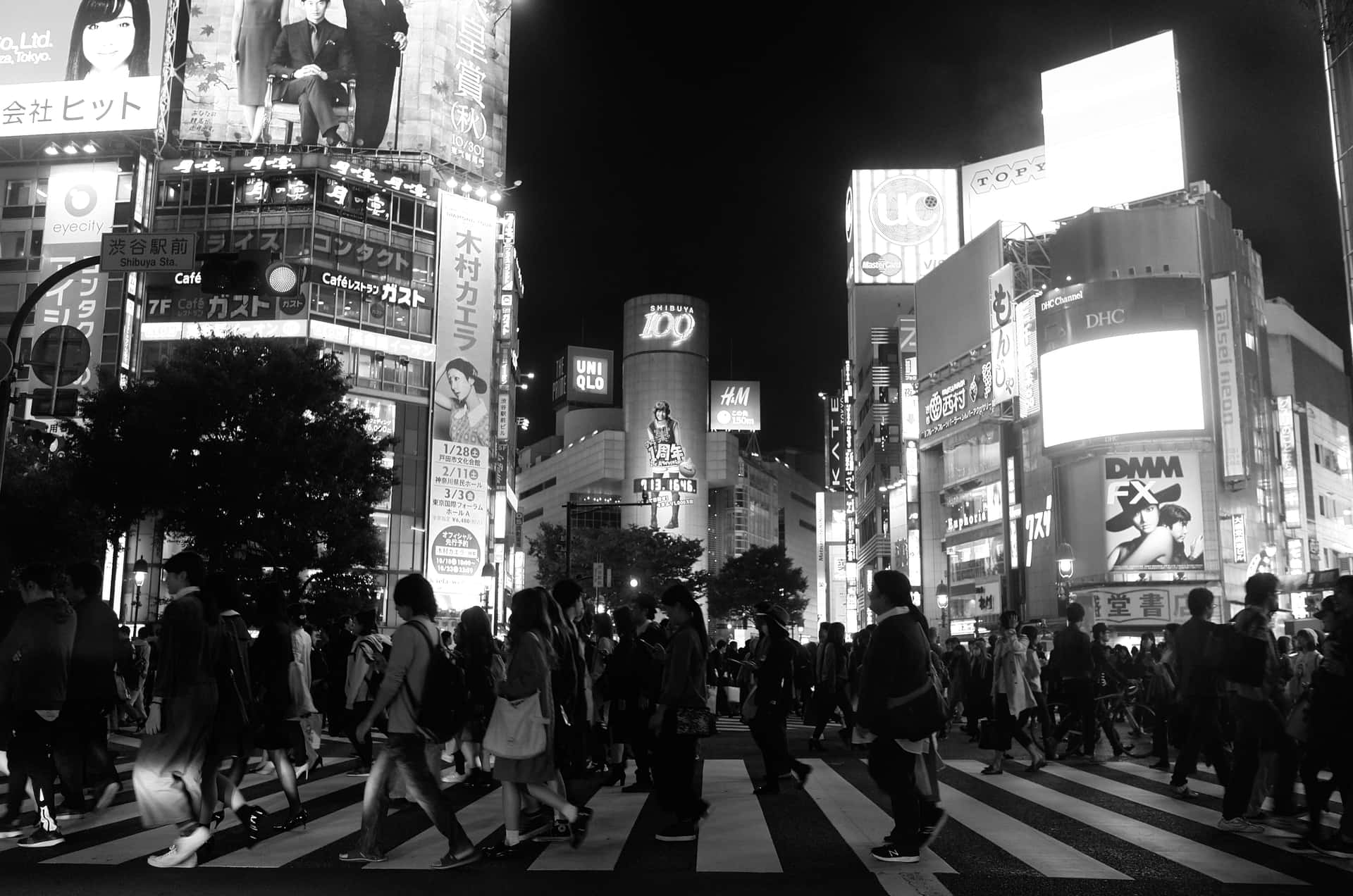 Japan Black And White Shibuya Crossing Background