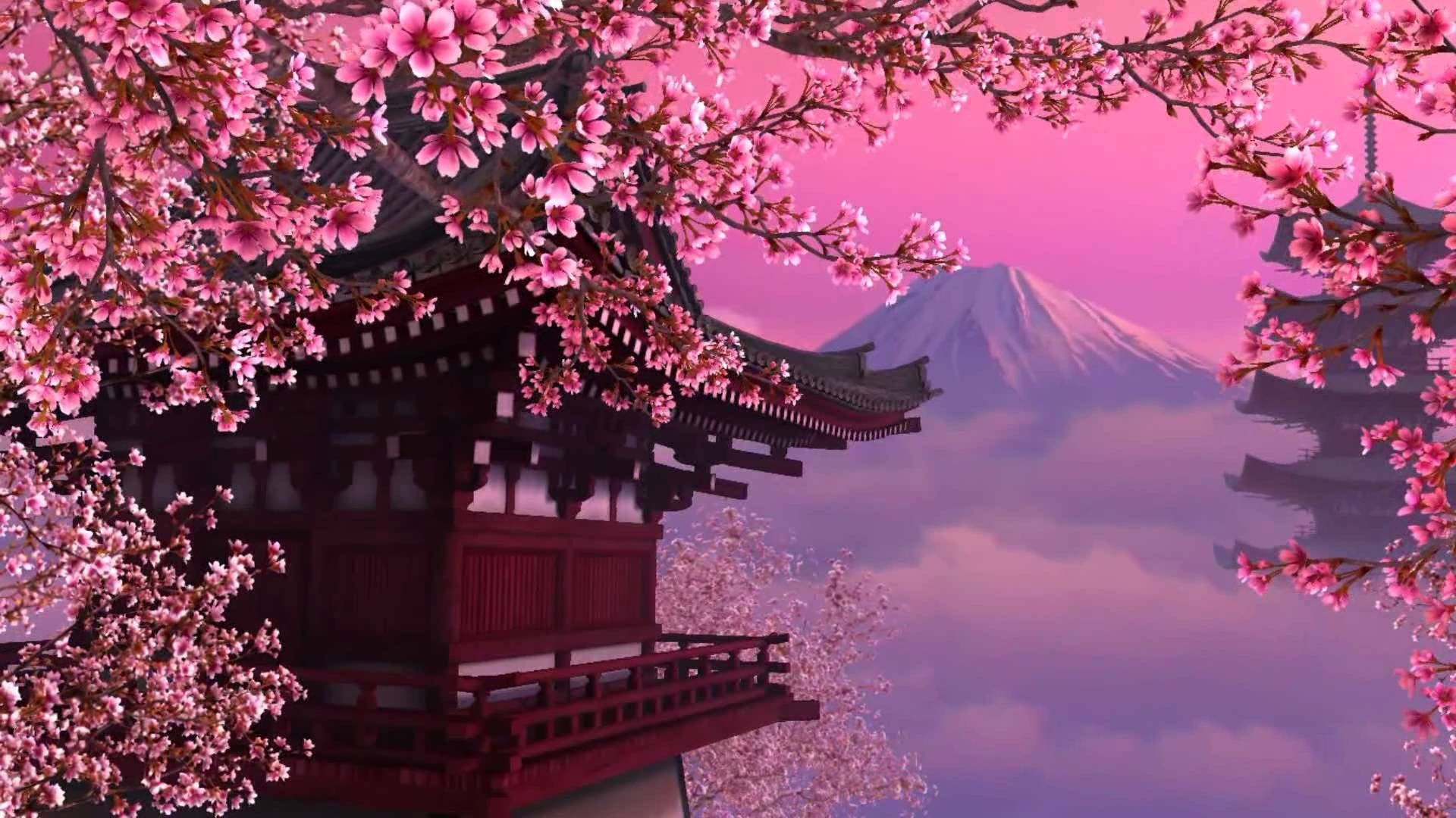 Japan Cherry Blossom Artwork Pink Skies Background