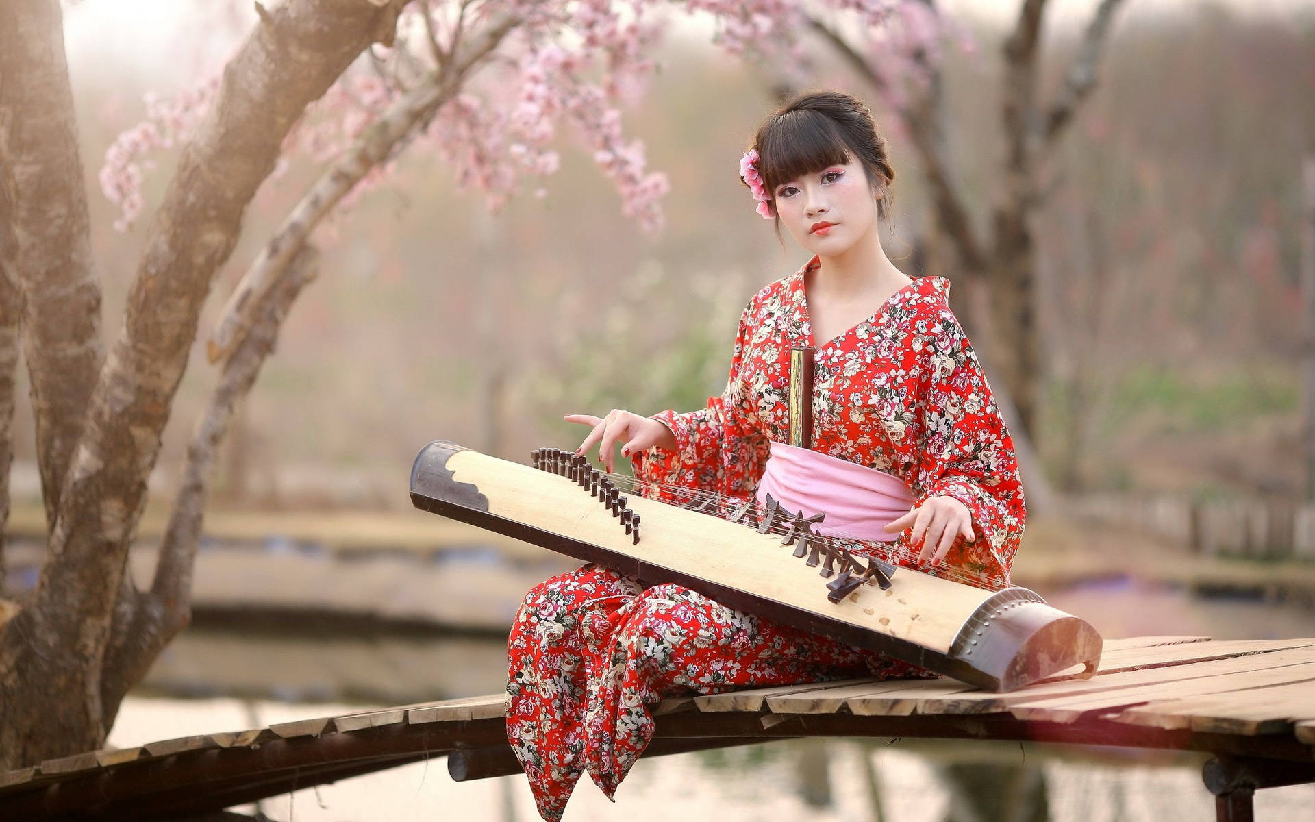 Japan Girl Traditional Music Instrument Background