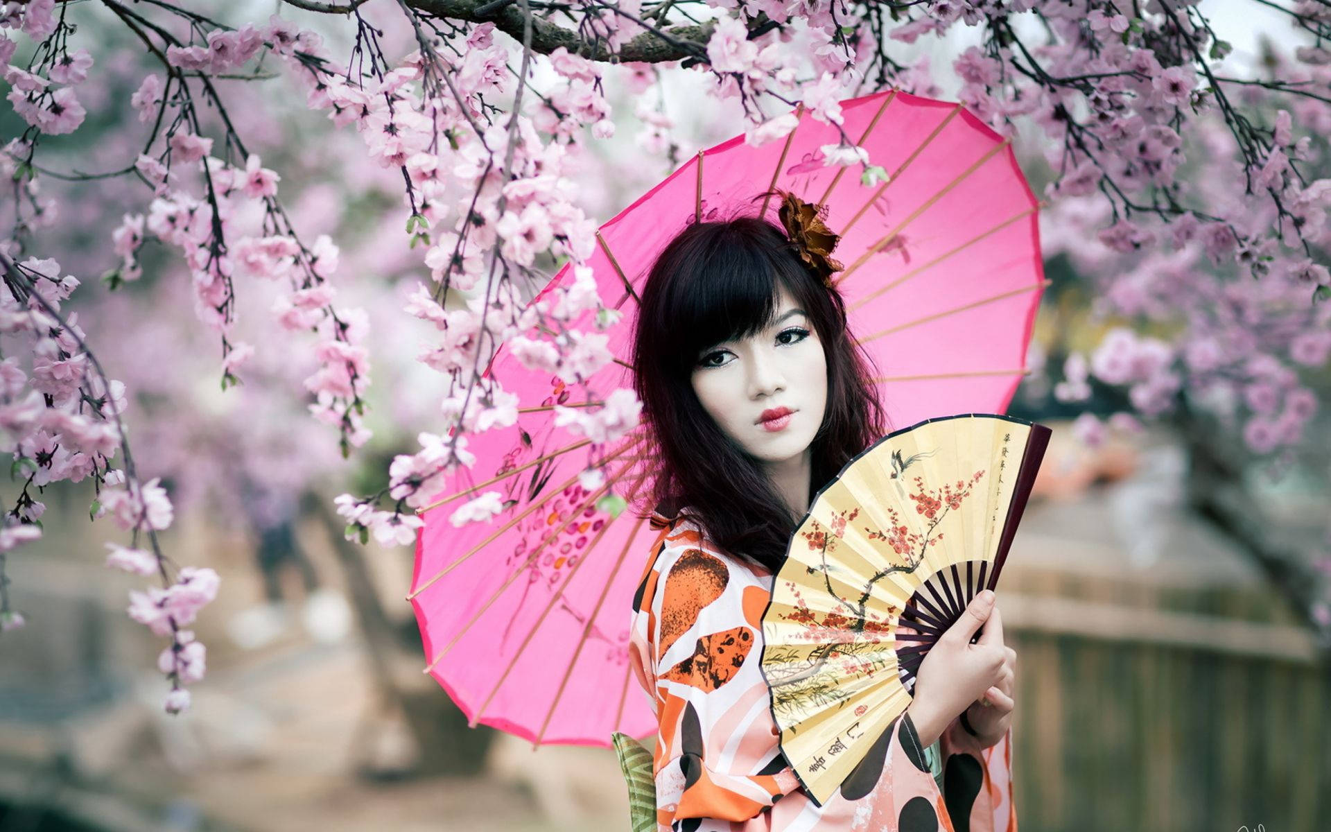 Japan Girl With Cherry Blossoms Background
