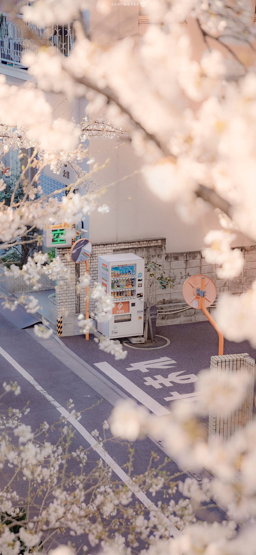 Japanese Aesthetic Iphone Vending Machine And Sakura Flowers