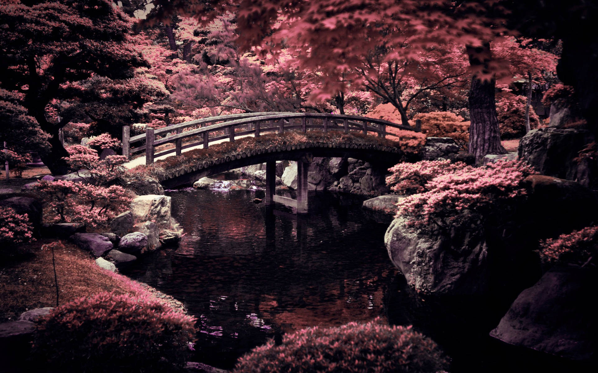 Japanese Cherry Blossom Bridge Background