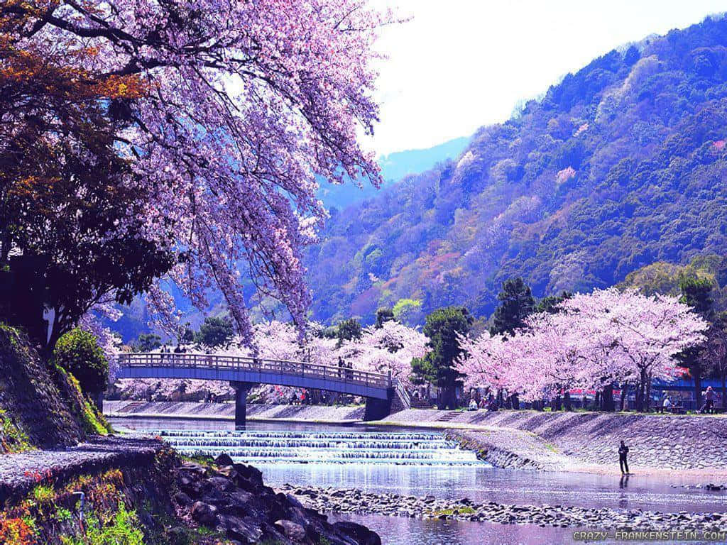 Japanese Desktop With Traditional Patterns Background