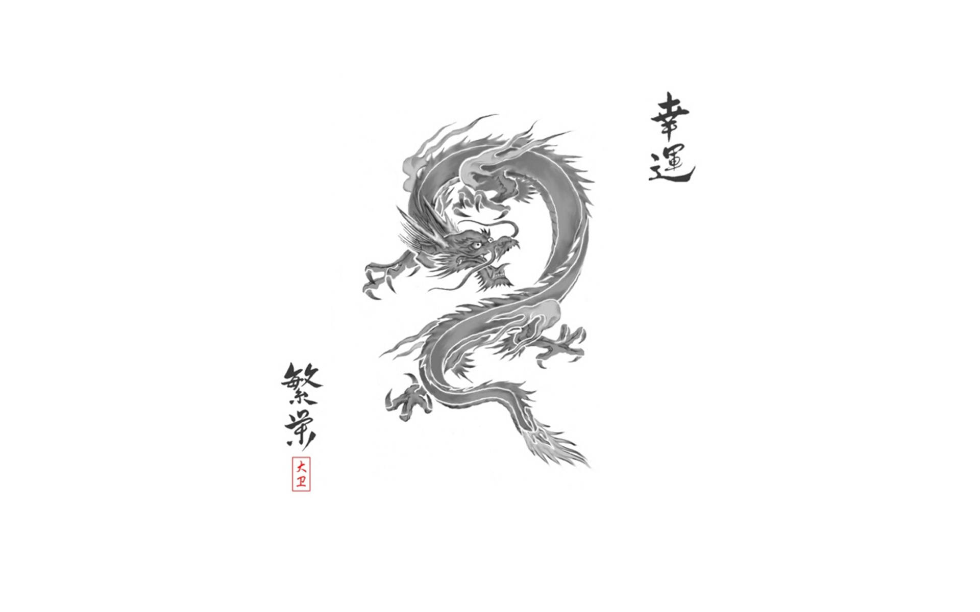 Japanese Dragon Art Pencil Illustration Background
