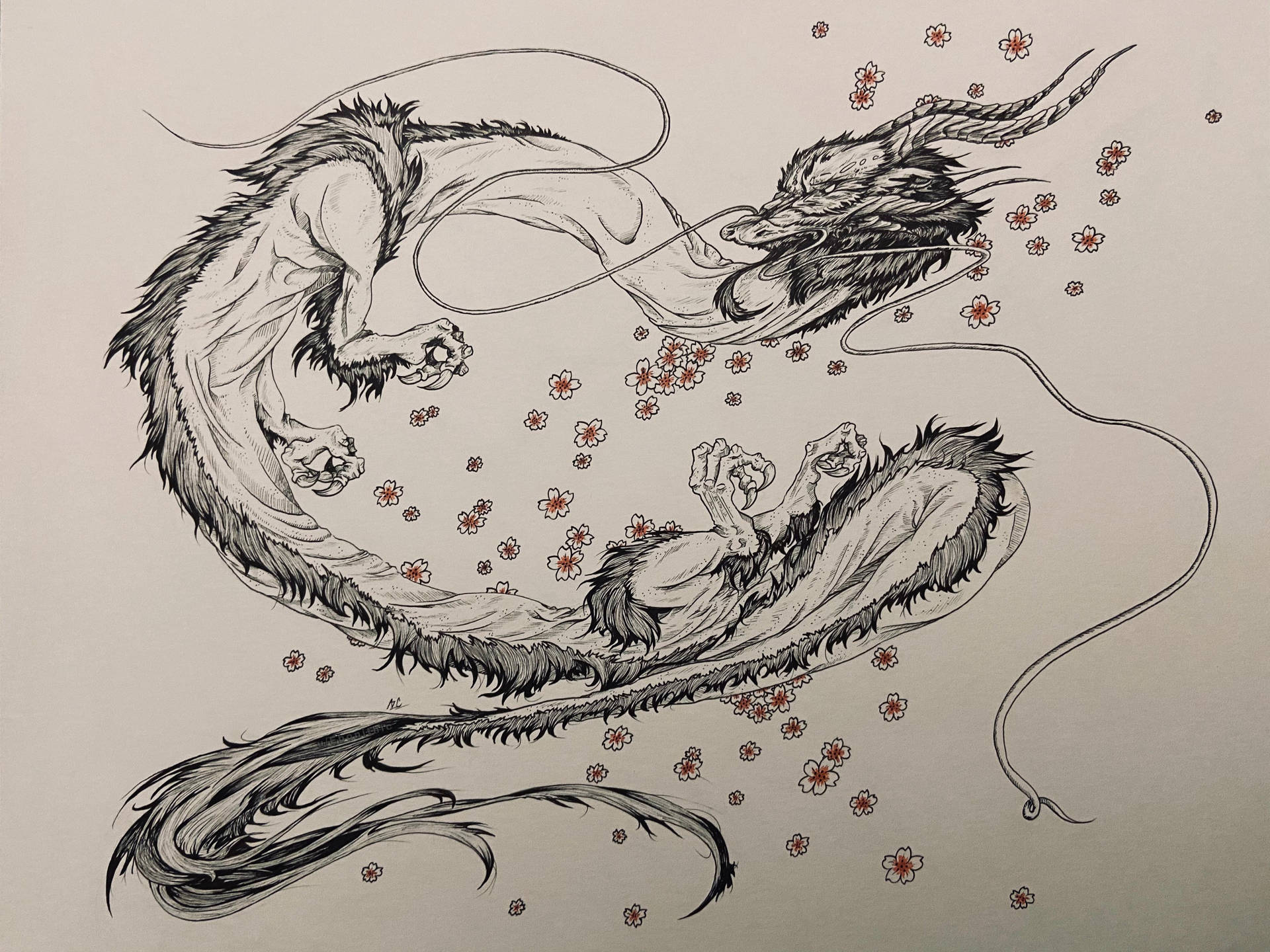 Japanese Dragon Art With Flowing Body Background