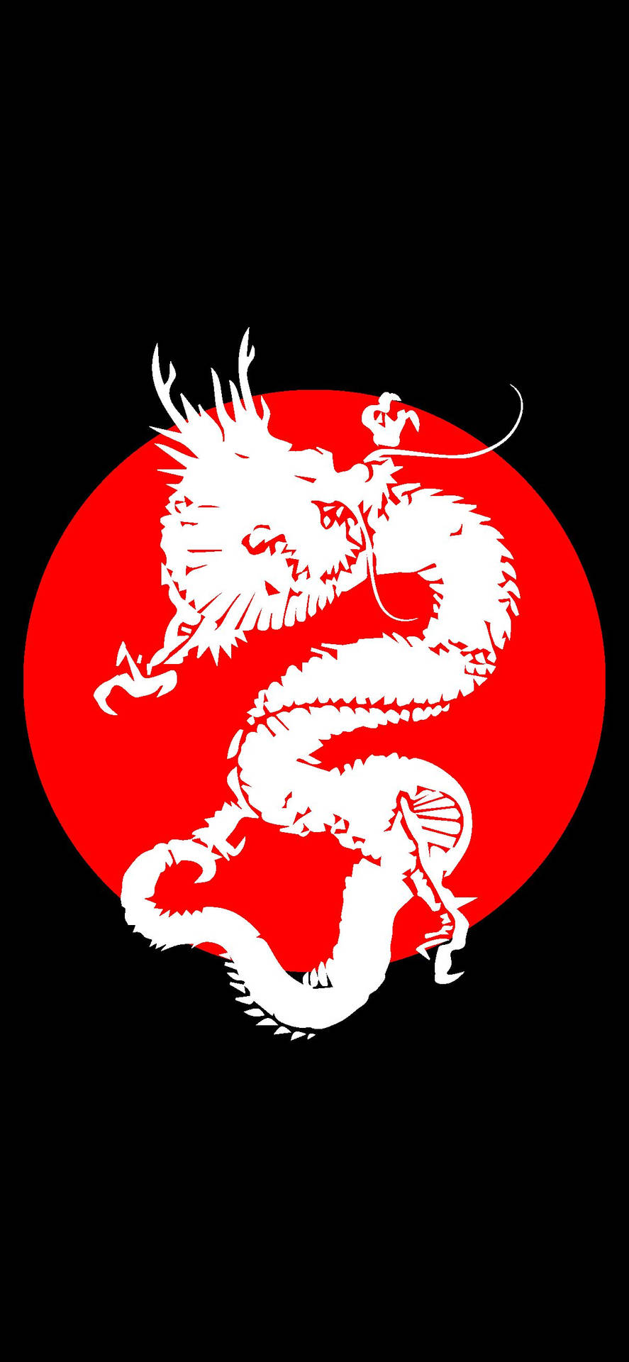 Japanese Dragon With Red Sun Background