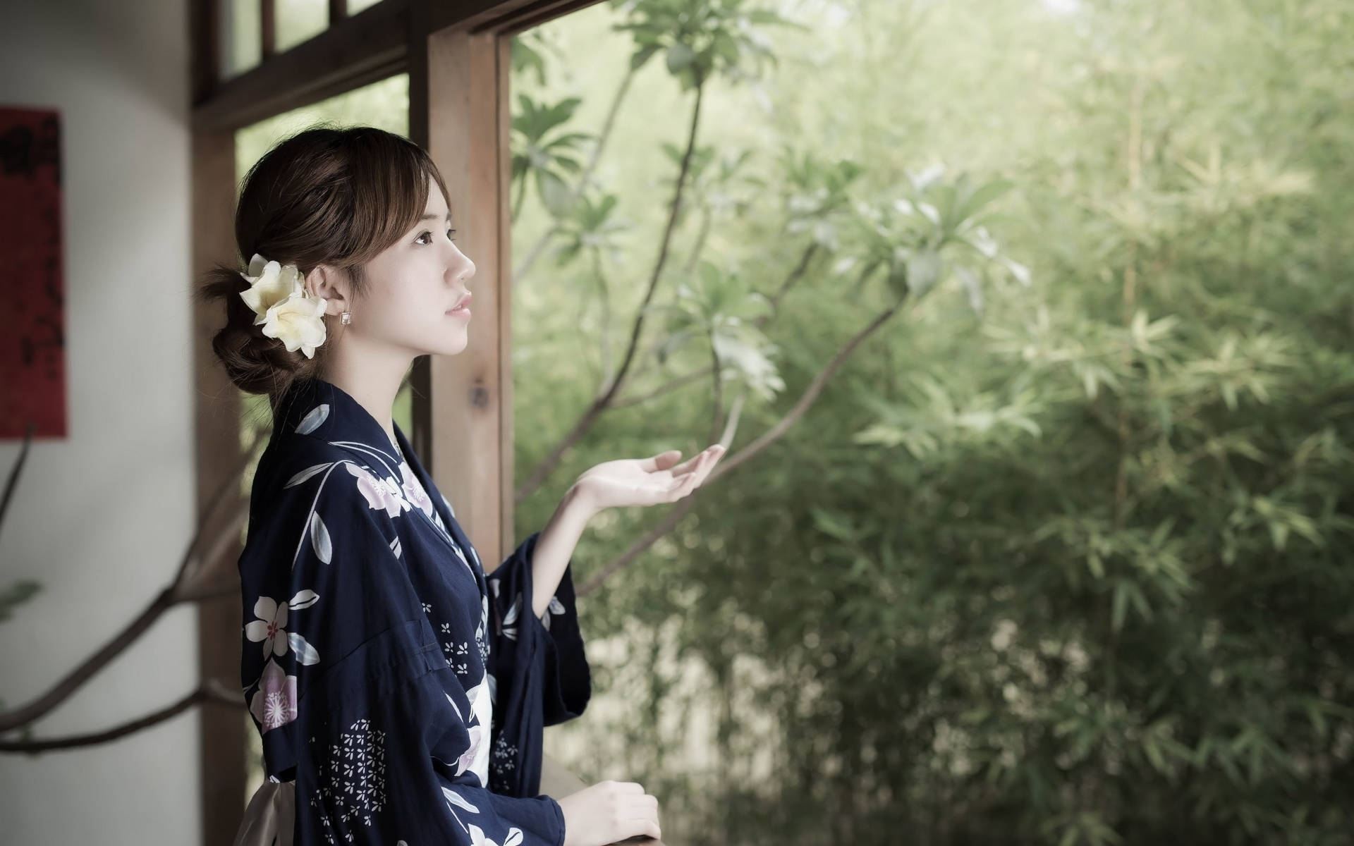 Japanese Girl In Dark Kimono