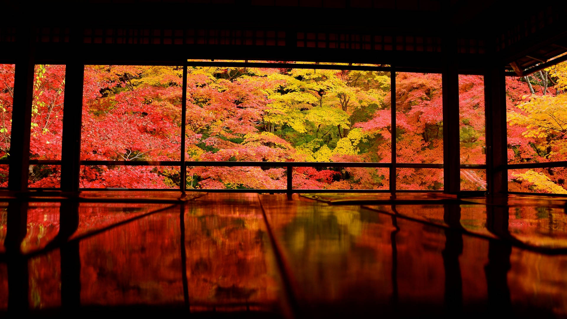 Japanese Nature Autumn Trees Background