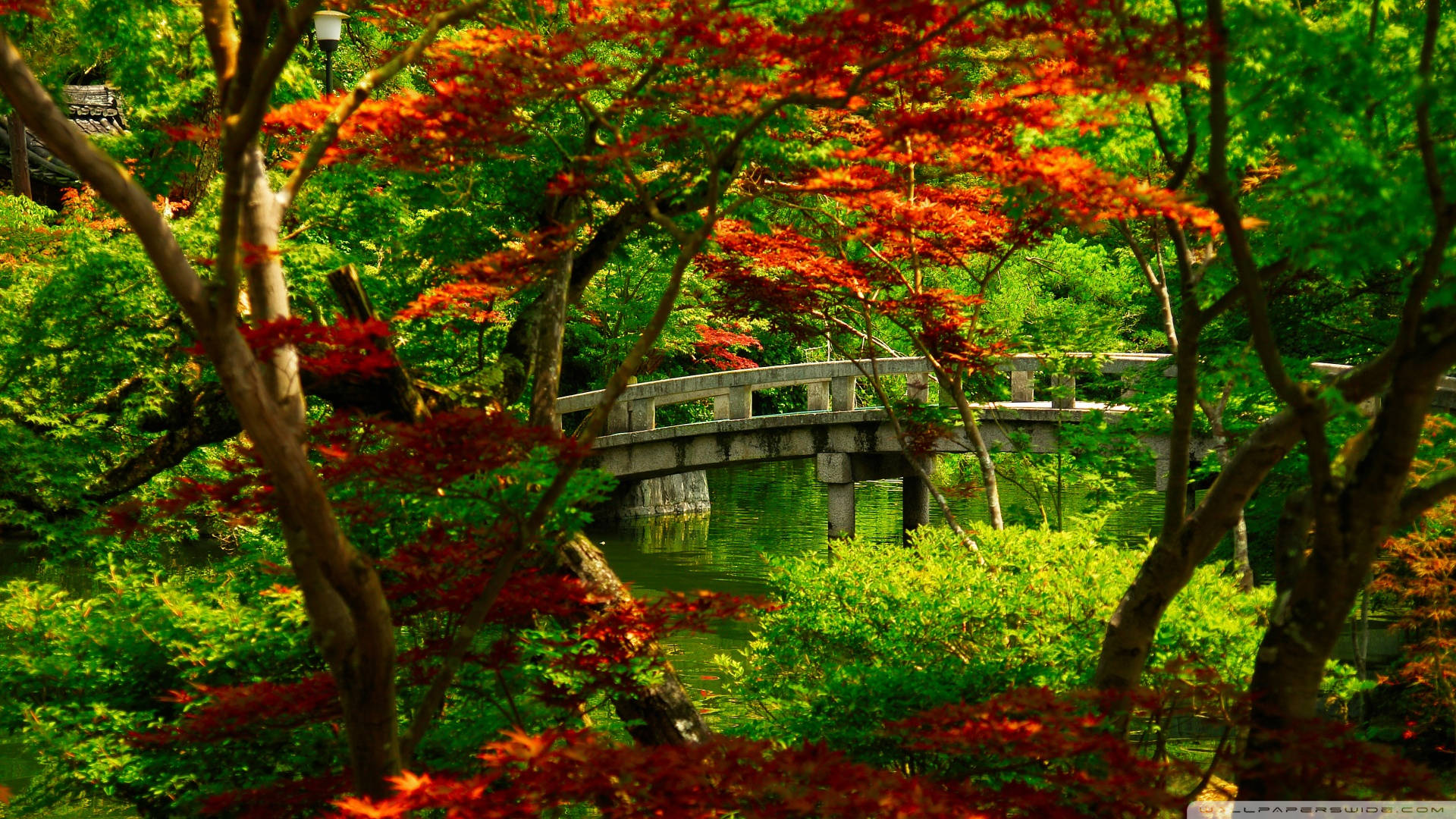 Japanese Nature Bridge Over Garden Background