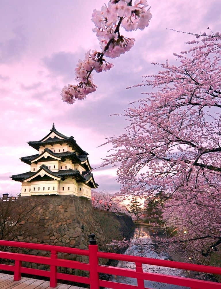 Japanese Phone Hirosaki Castle Under The Purple Sky Background