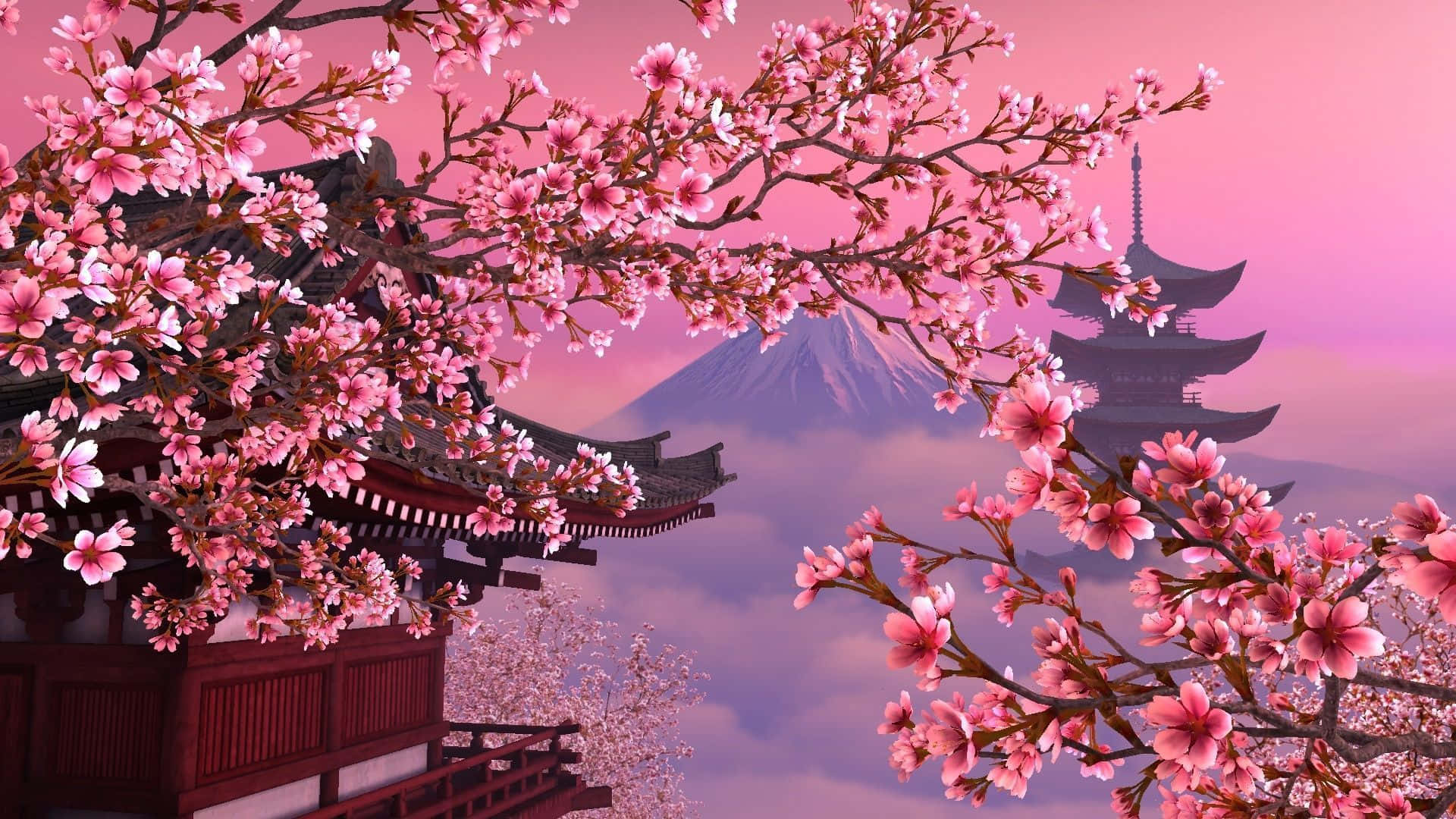 Japanese Pink Blossom Tree Temple Background