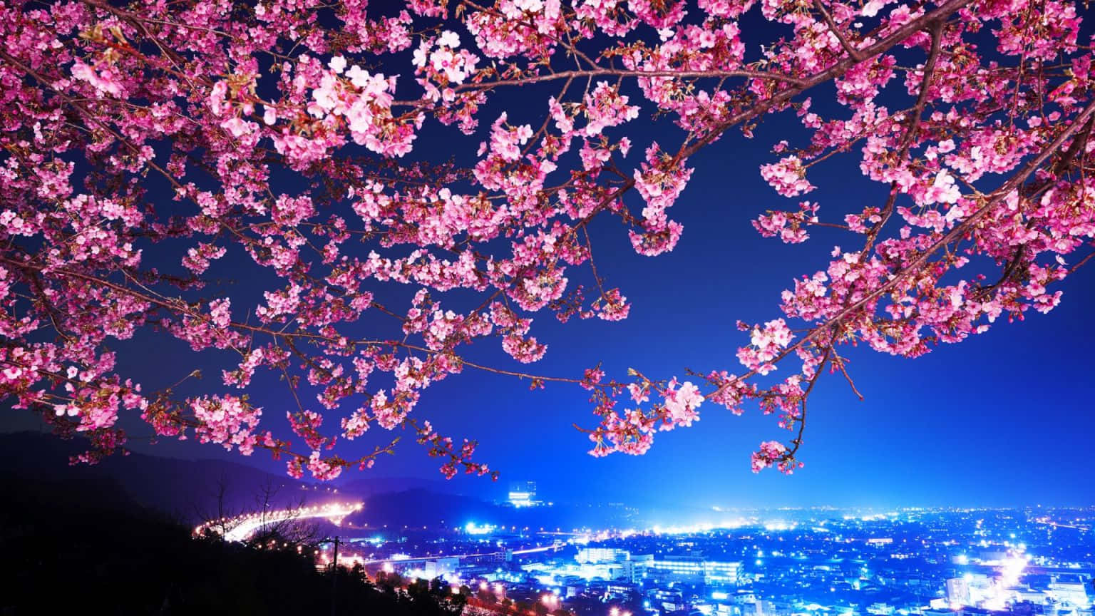 Japanese Pink Night Sky Background