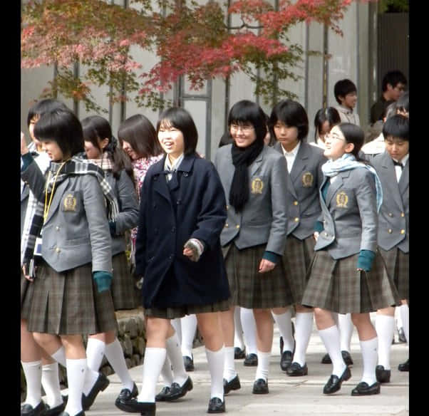 Japanese School Girls Background