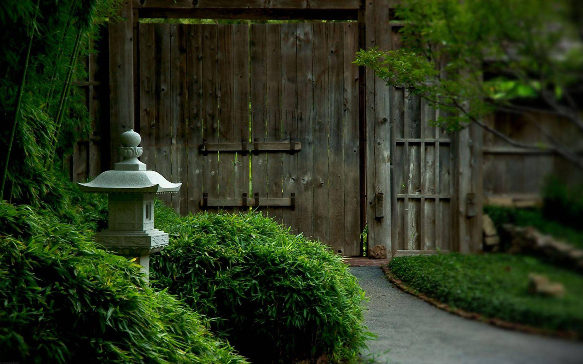 Japanese Tea Garden Background