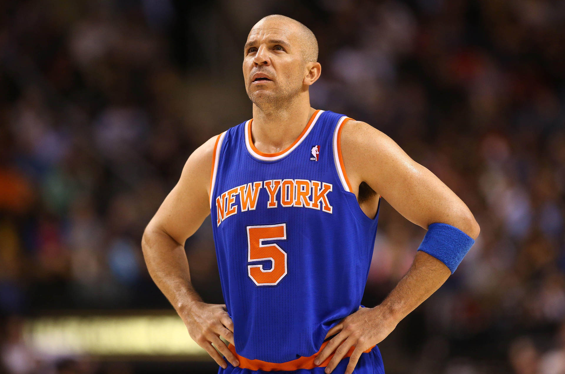 Jason Kidd New York Knicks Background