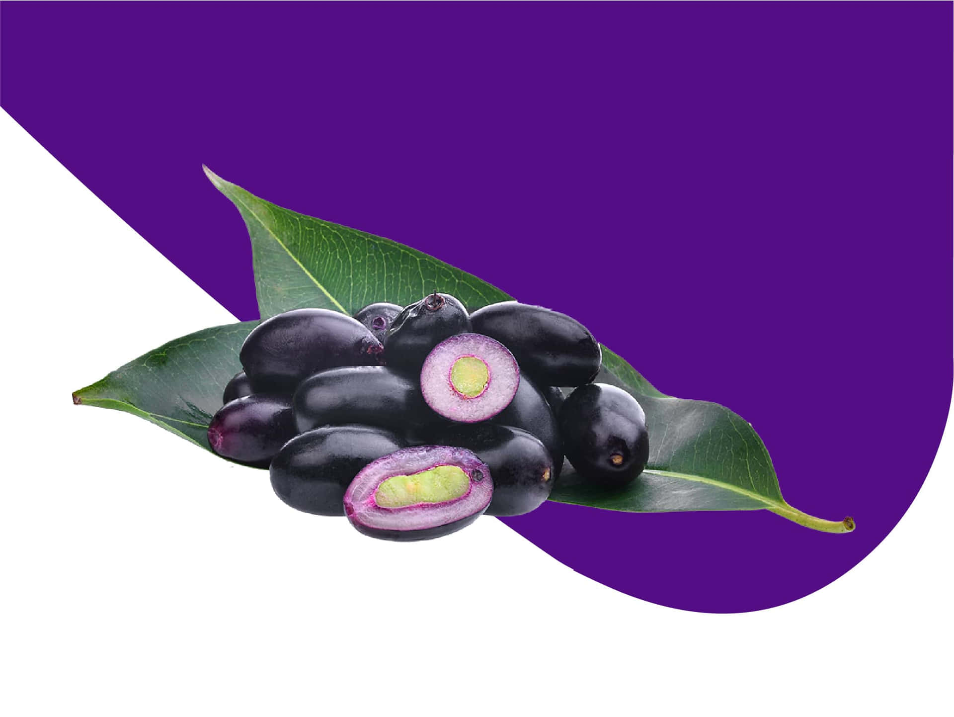 Java Plum Purple And White Background Background