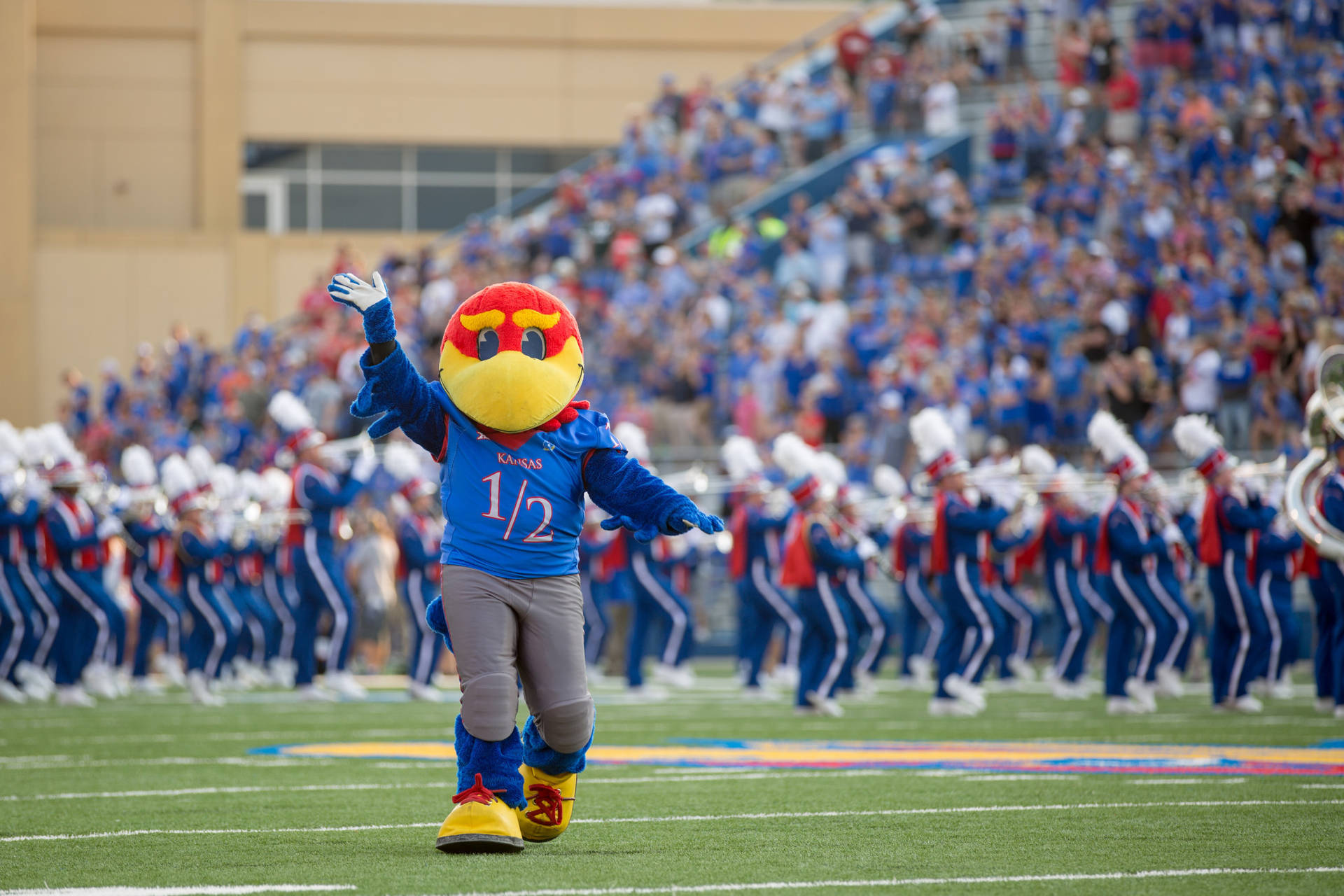 Jayhawk Mascot Cheering On The Field At University Of Kansas